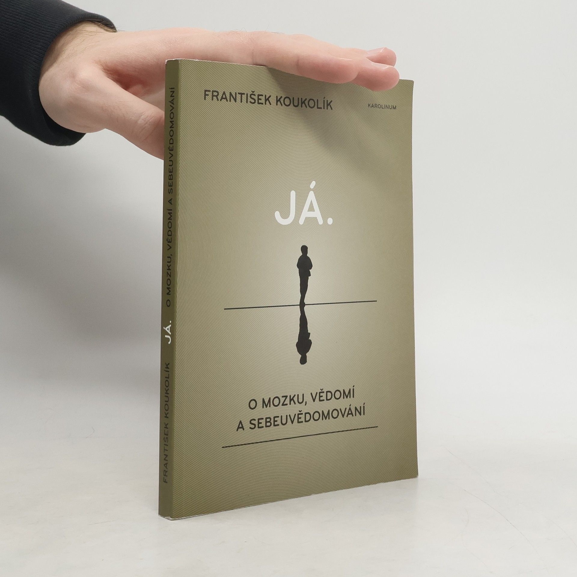 František Koukolík Já. O mozku, vědomí a sebeuvědomování