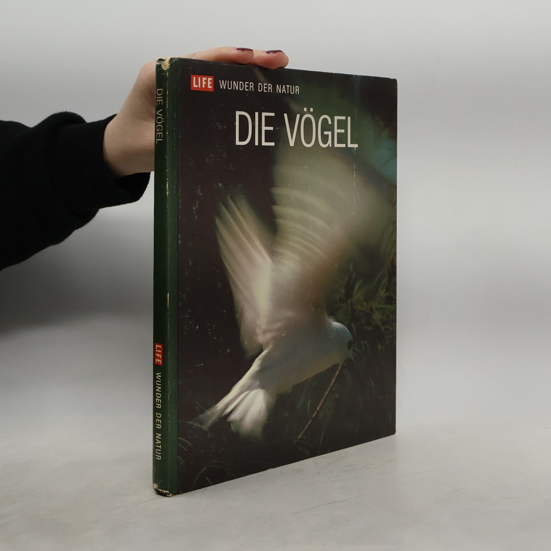 Roger Tory Peterson Die Vögel