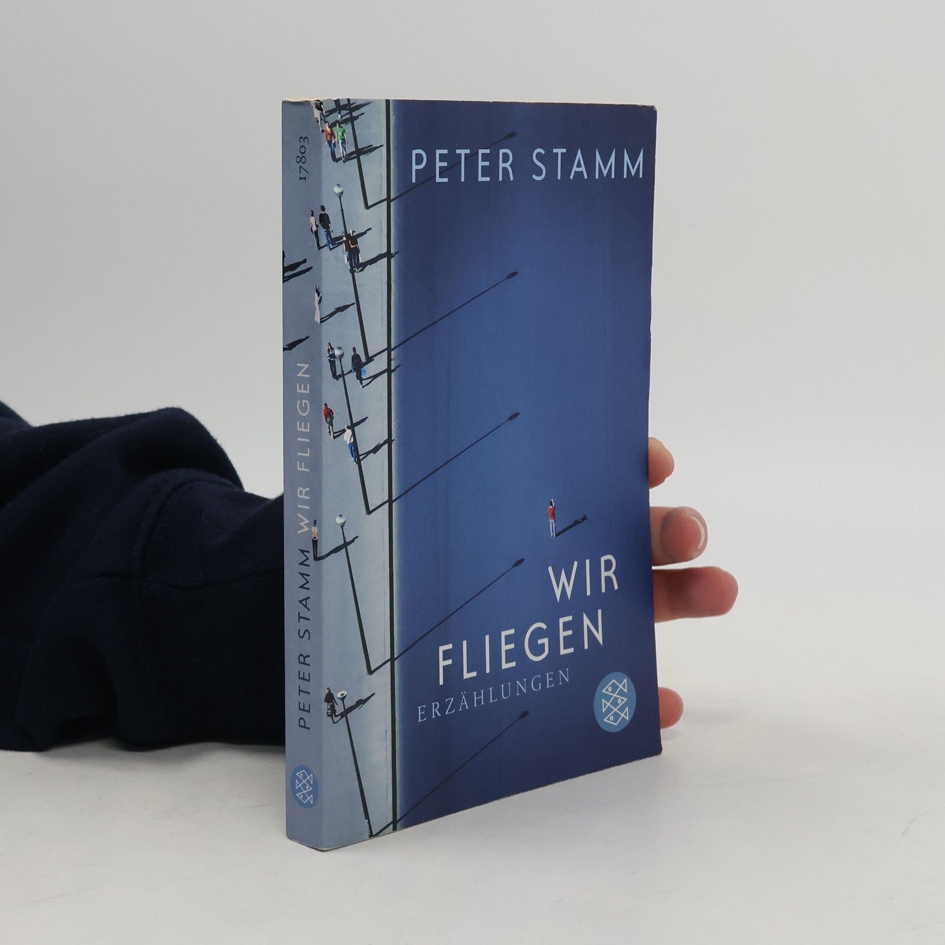 Peter Stamm Wir fliegen