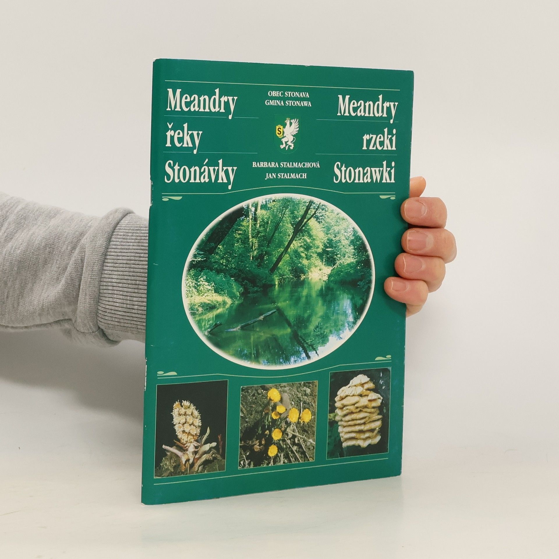 Meandry řeky Stonávky