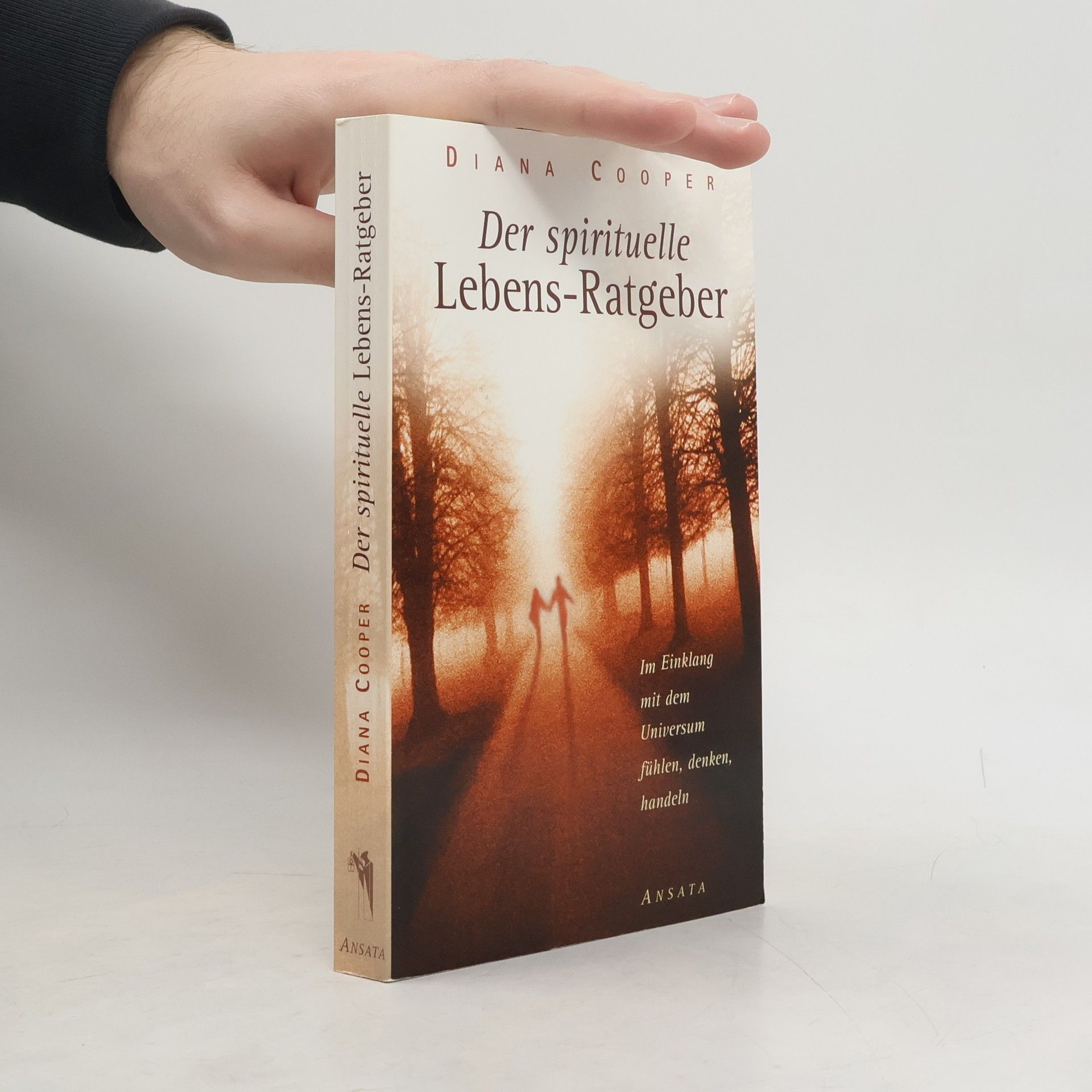 Diana Cooper Der spirituelle Lebens-Ratgeber