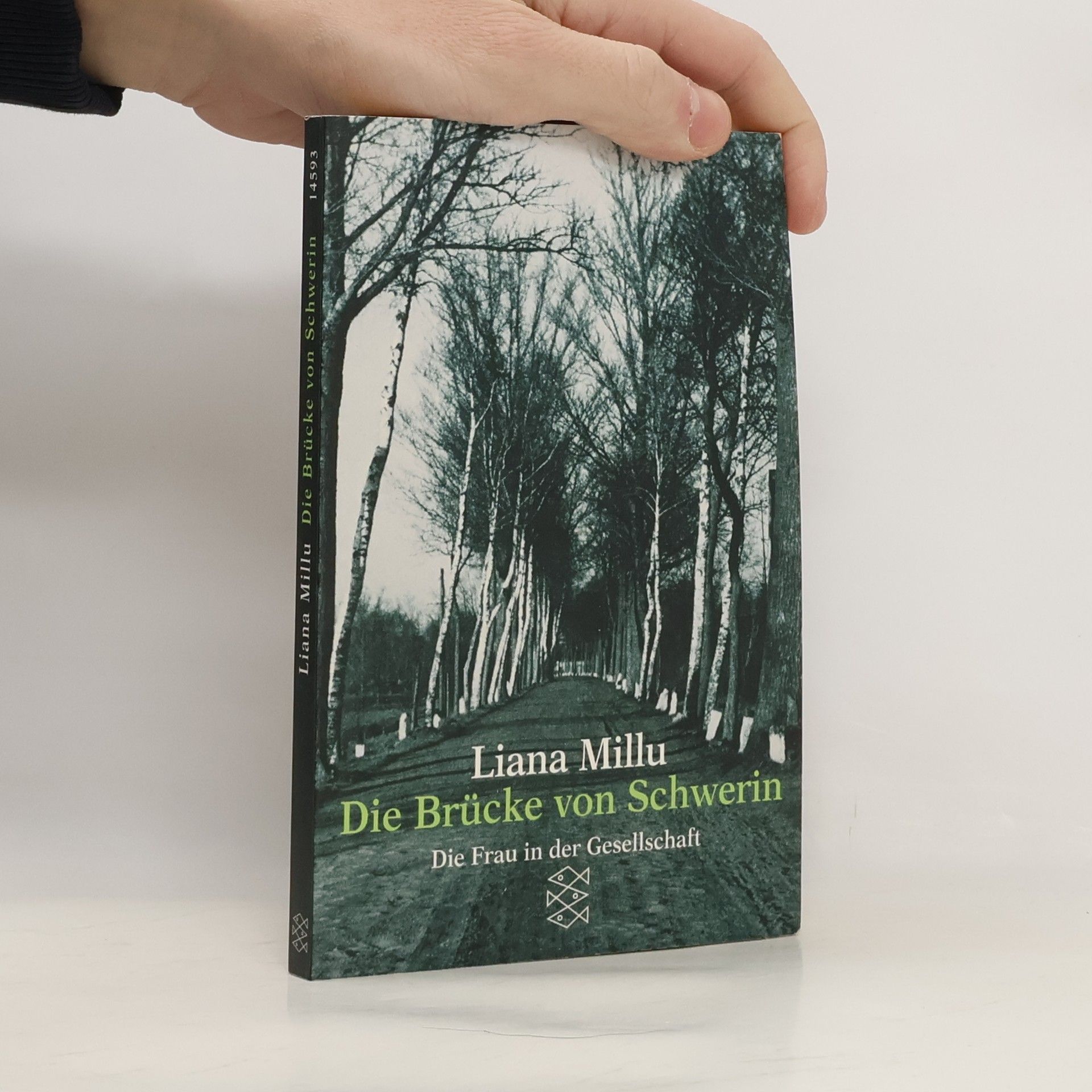 Liana Millu Die Brücke von Schwerin