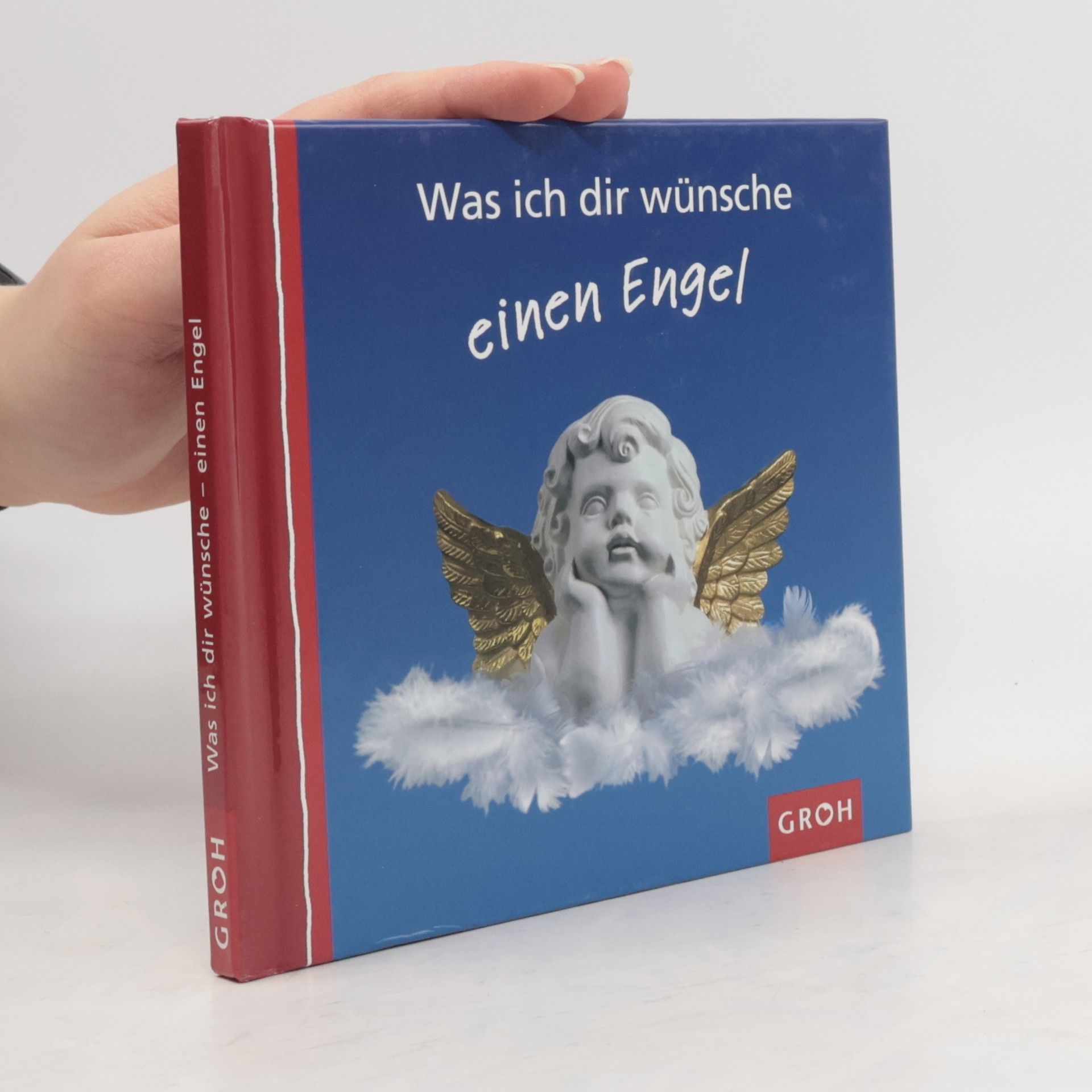 Ellen Sonntag Was ich dir wünsche, einen Engel