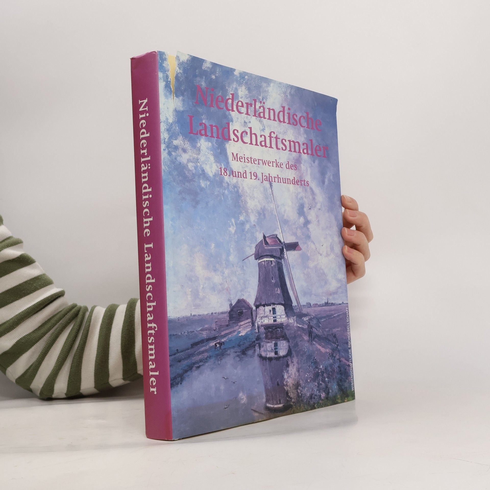 Autorenkollektiv Niederländische Landschaftsmaler