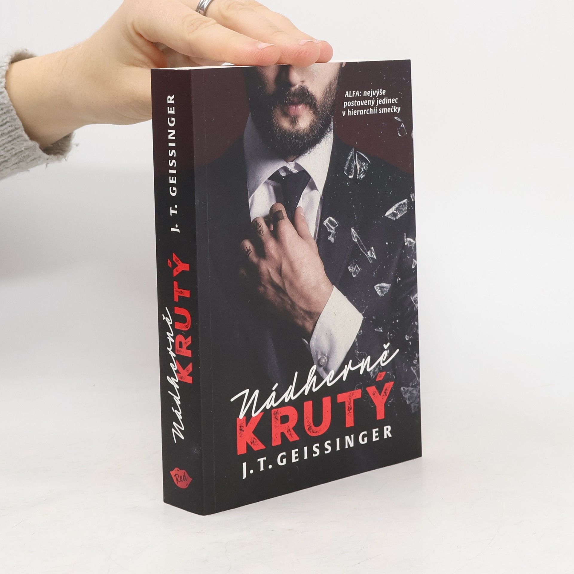 J. T. Geissinger Nádherně krutý