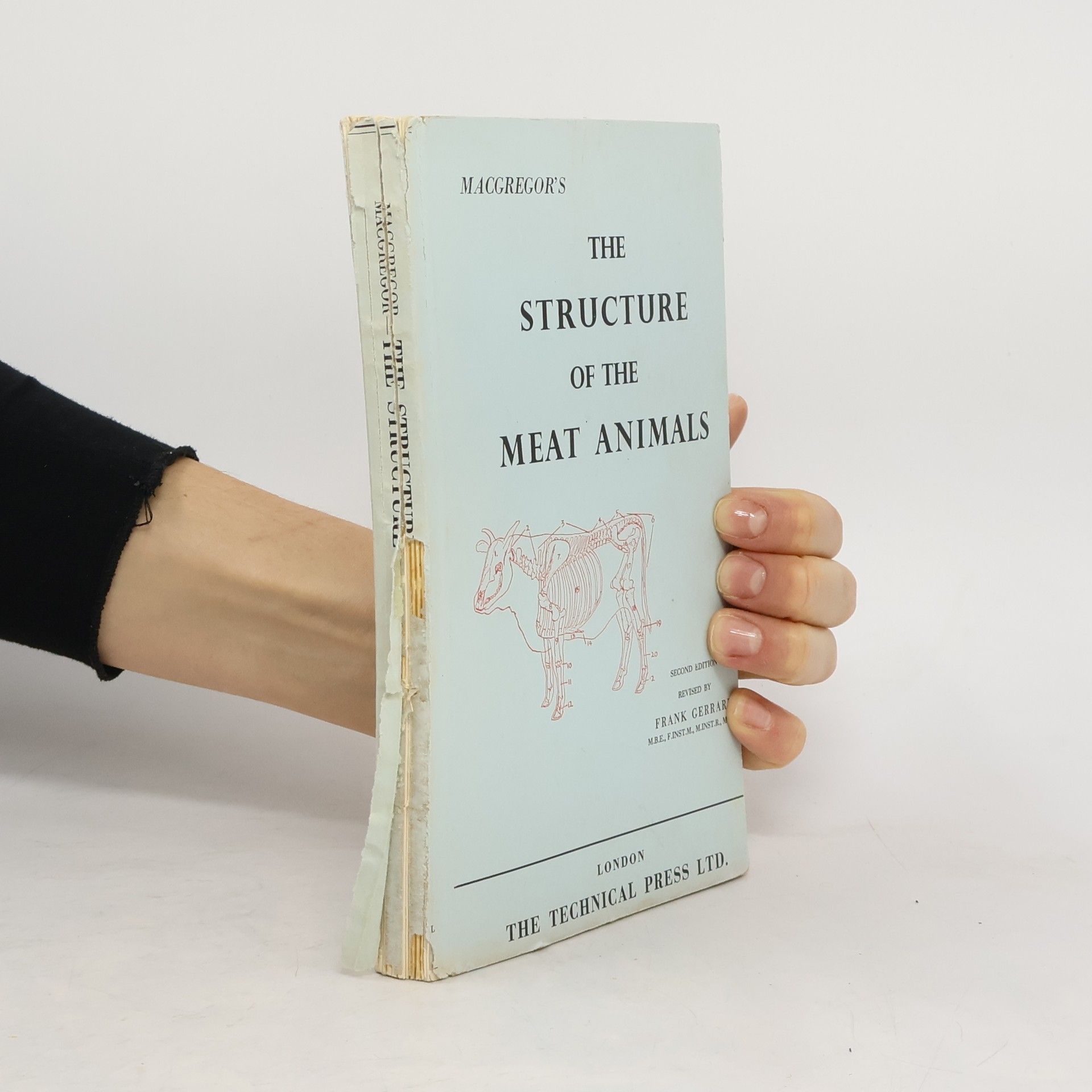 Roderick MacGregor The Structure of the Meat Animals: A Guide to Their Anatomy and Physiology