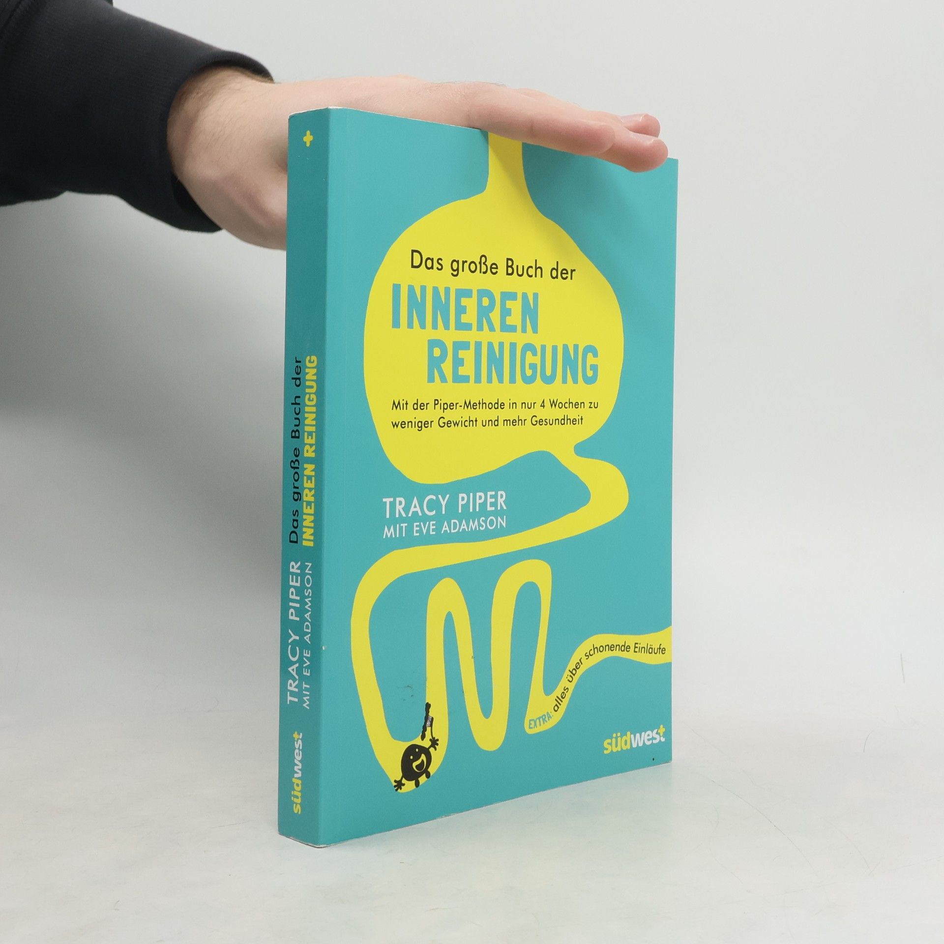 Tracy Piper Das große Buch der inneren Reinigung