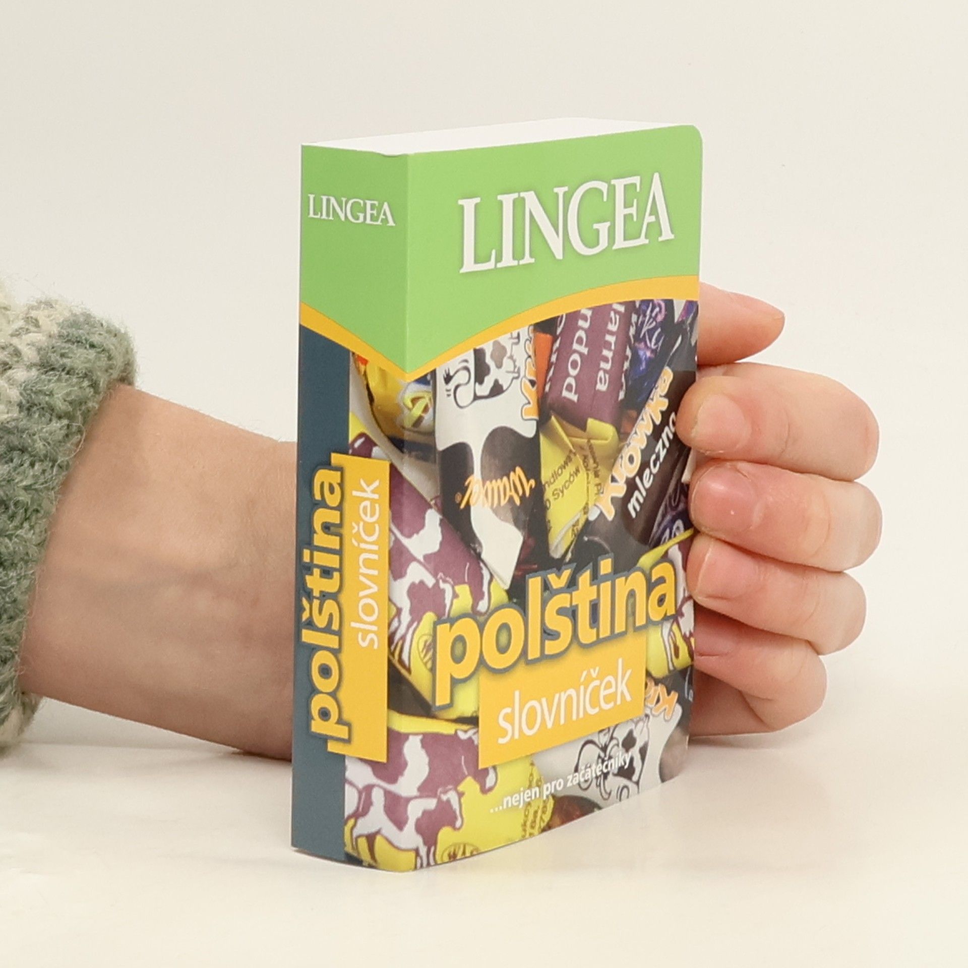 Collectif d'auteurs Polština : slovníček