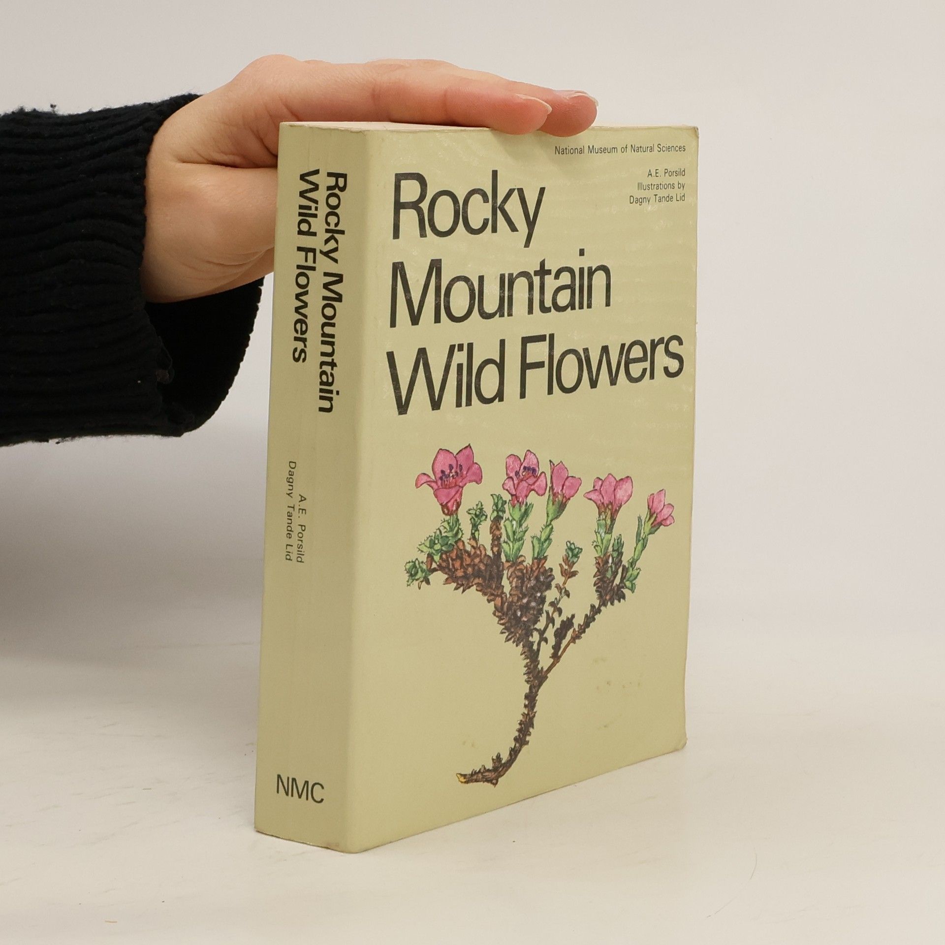 A. E. Porsild Rocky Mountain Wild Flowers