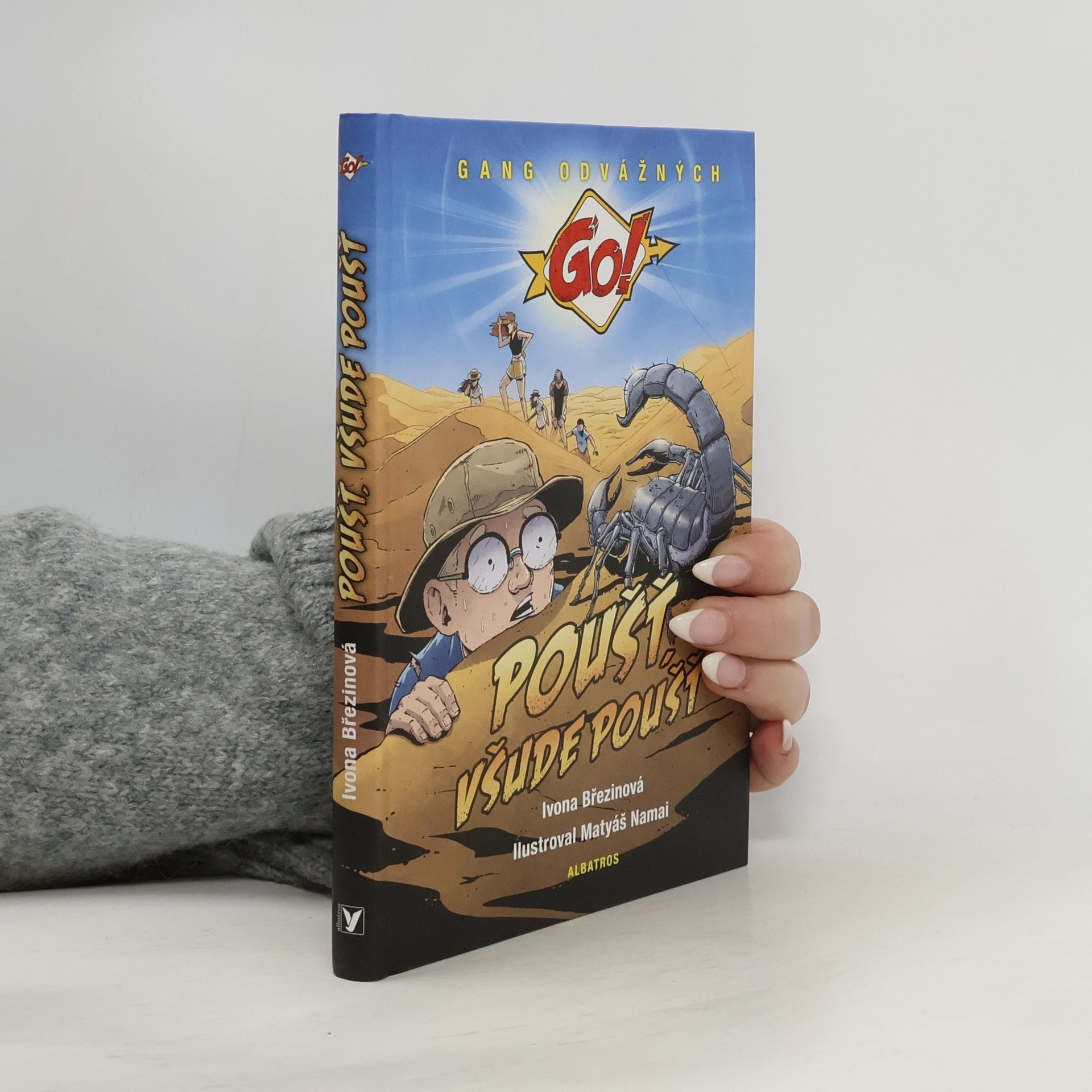 Ivona Březinová Poušť, všude poušť