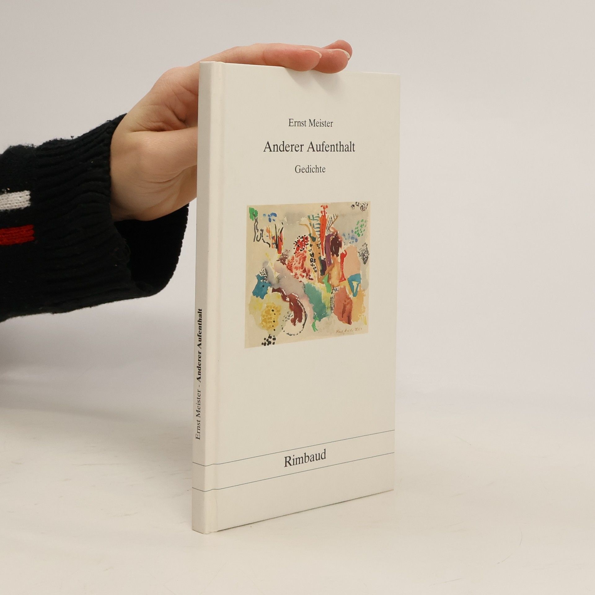 Ernst Meister Gedichte in 15 Bänden: Anderer Aufenthalt