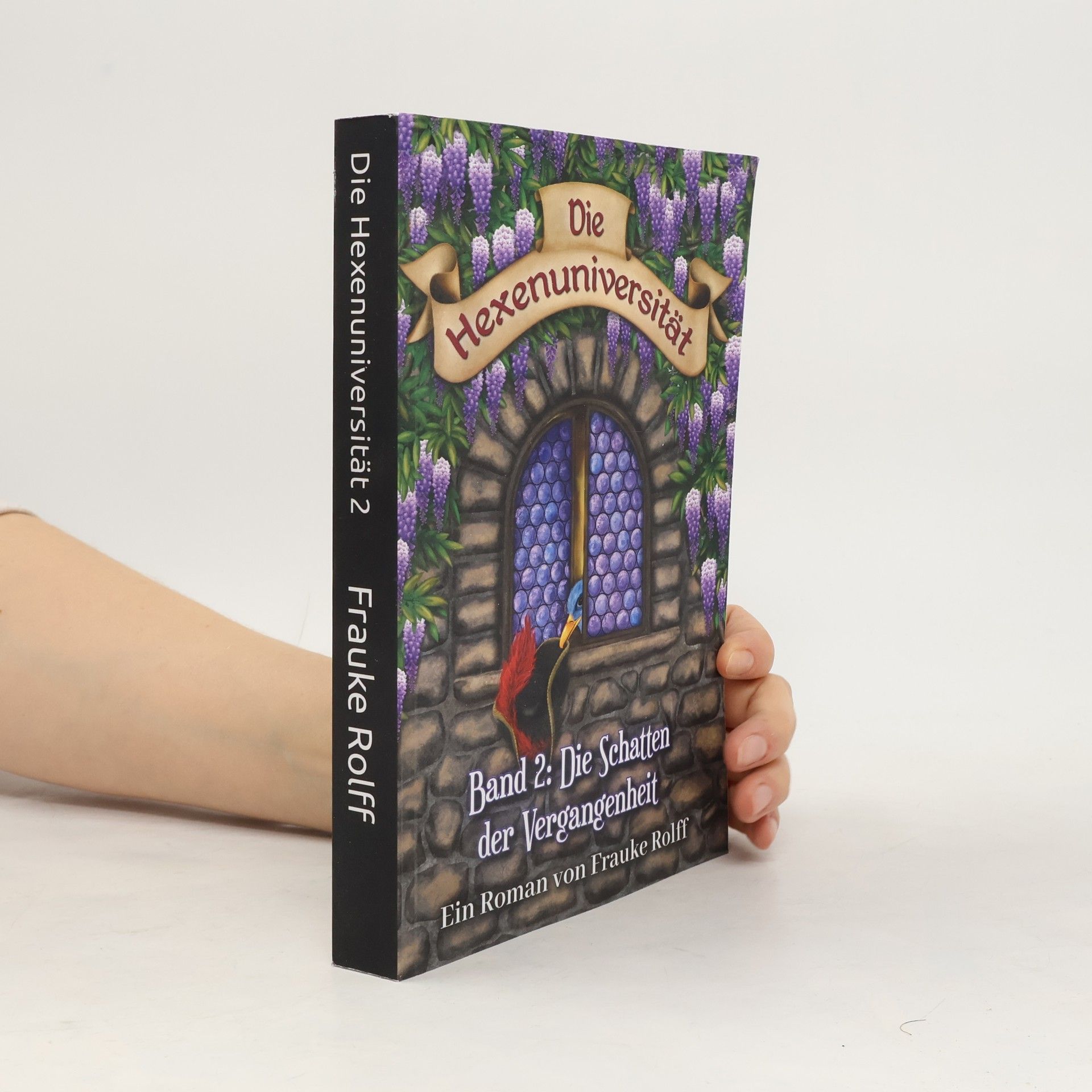 Frauke Rolff Die Hexenuniversität - 2: Die Schatten der Vergangenheit