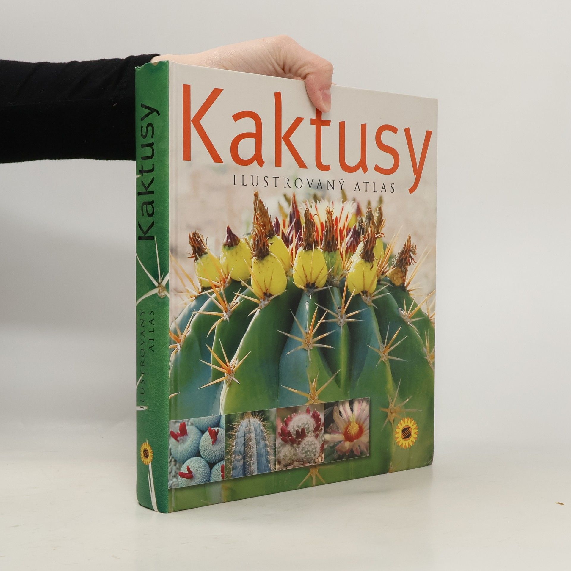 Collectif d'auteurs Kaktusy