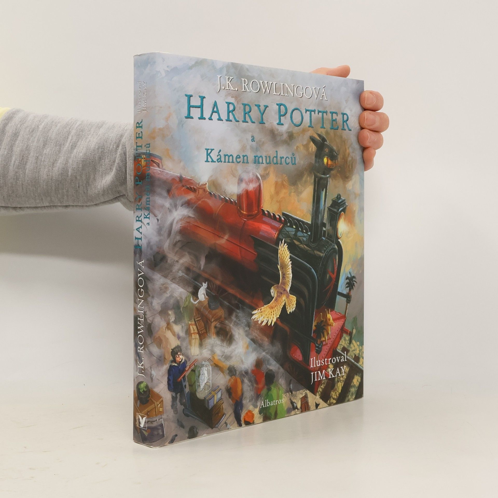 Harry Potter a kámen mudrců