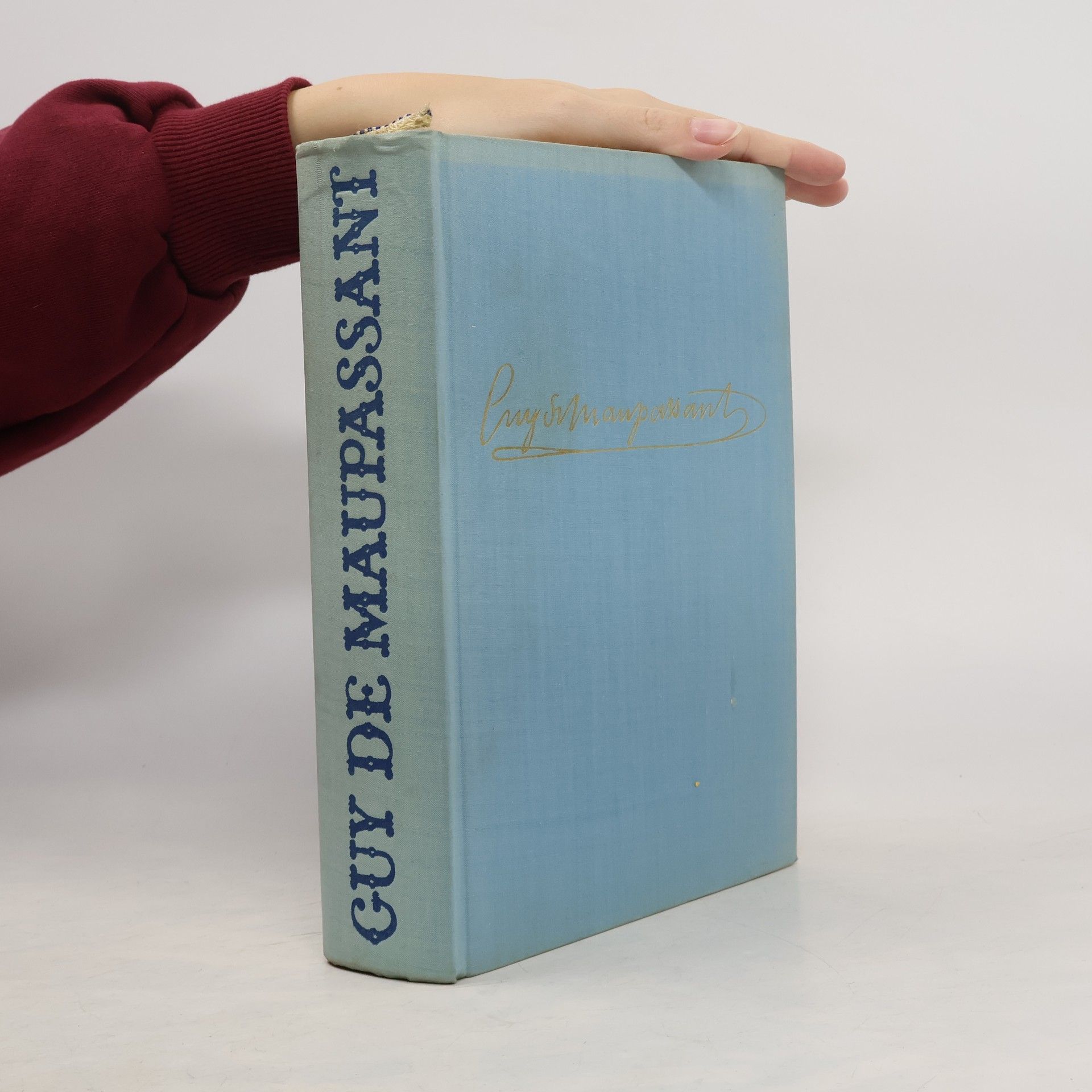 Guy de Maupassant Neděle pařížského měšťáka