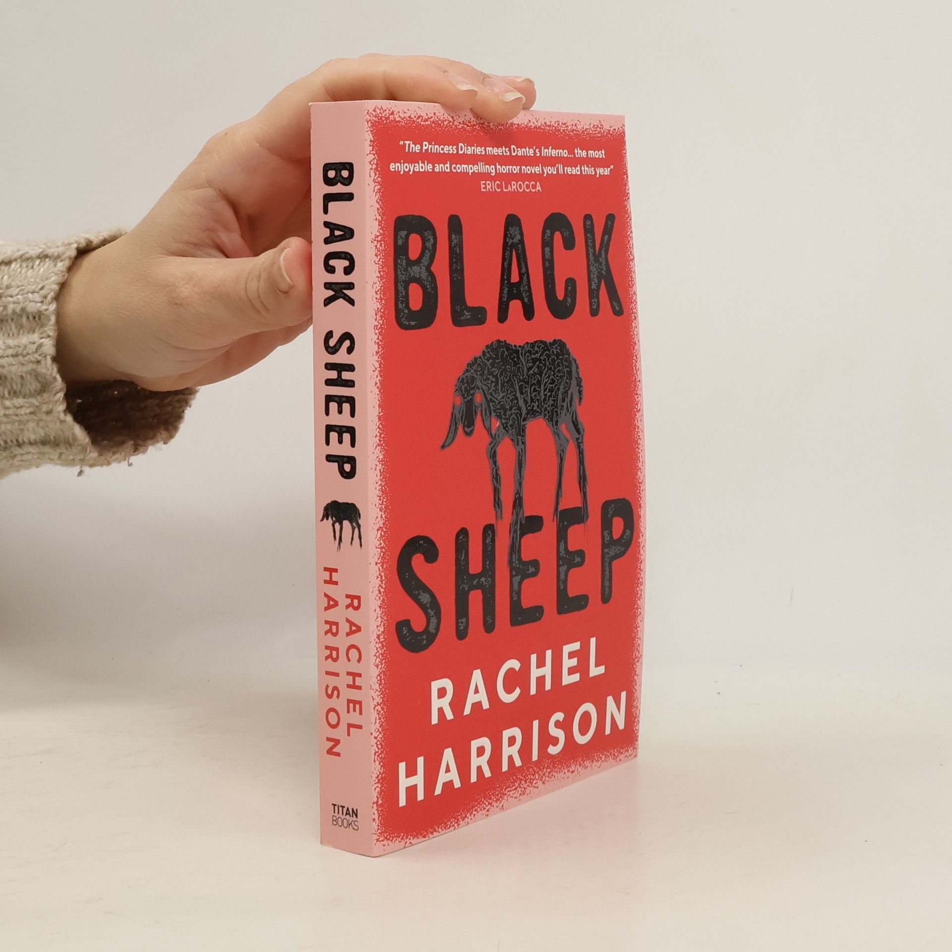 Rachel Harrison Black Sheep