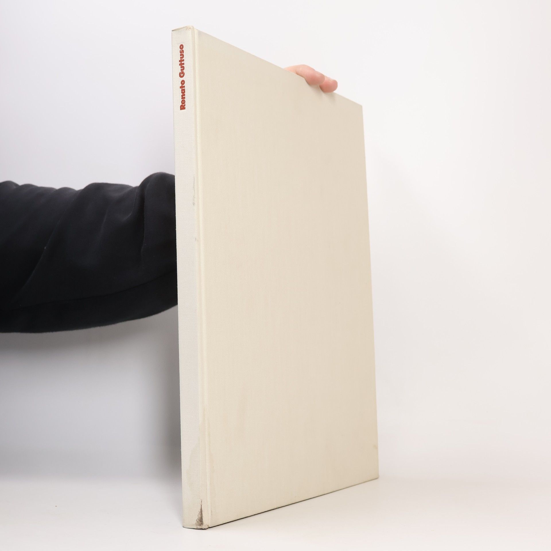 Auteurscollectief Renato Guttuso