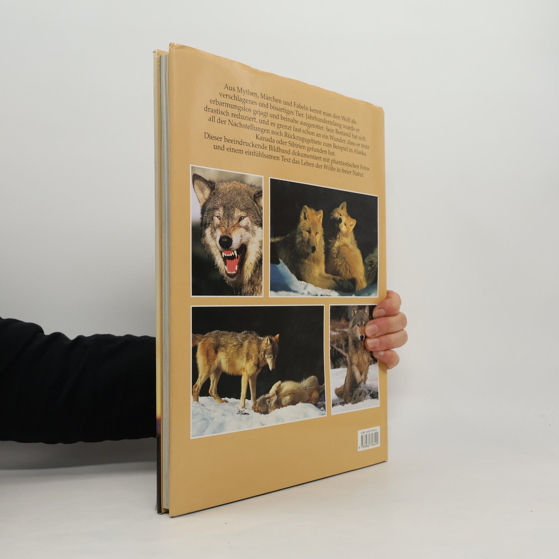 Angelika Sigl Der wolf
