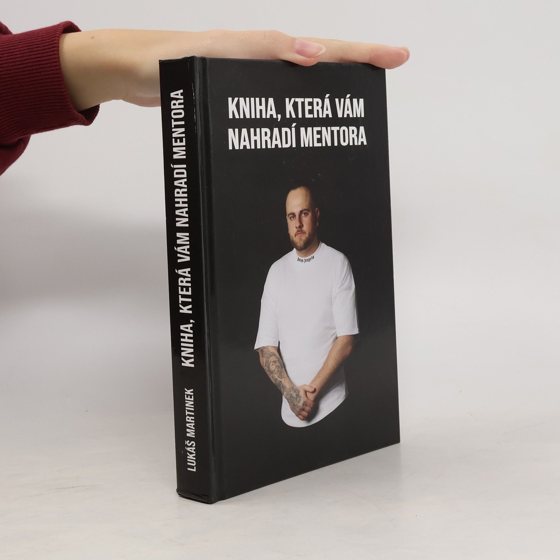 Lukáš Martinek Kniha, která vám nahradí mentora