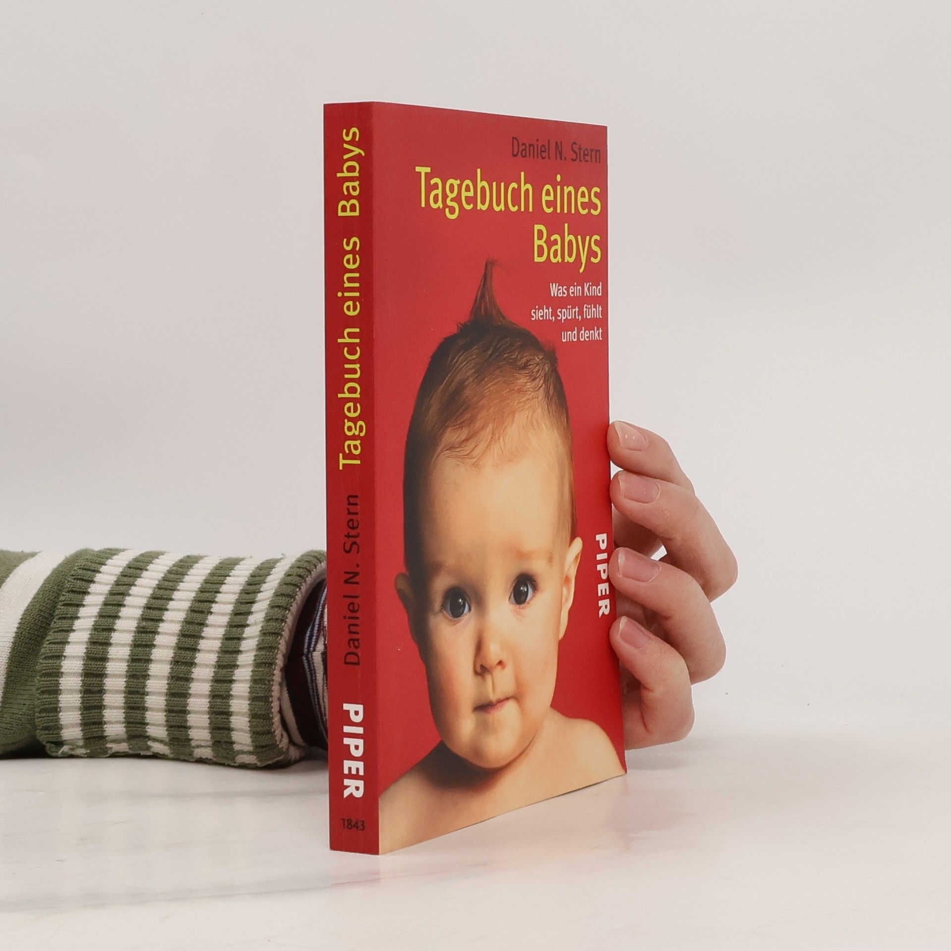 Daniel Stern Tagebuch eines Babys