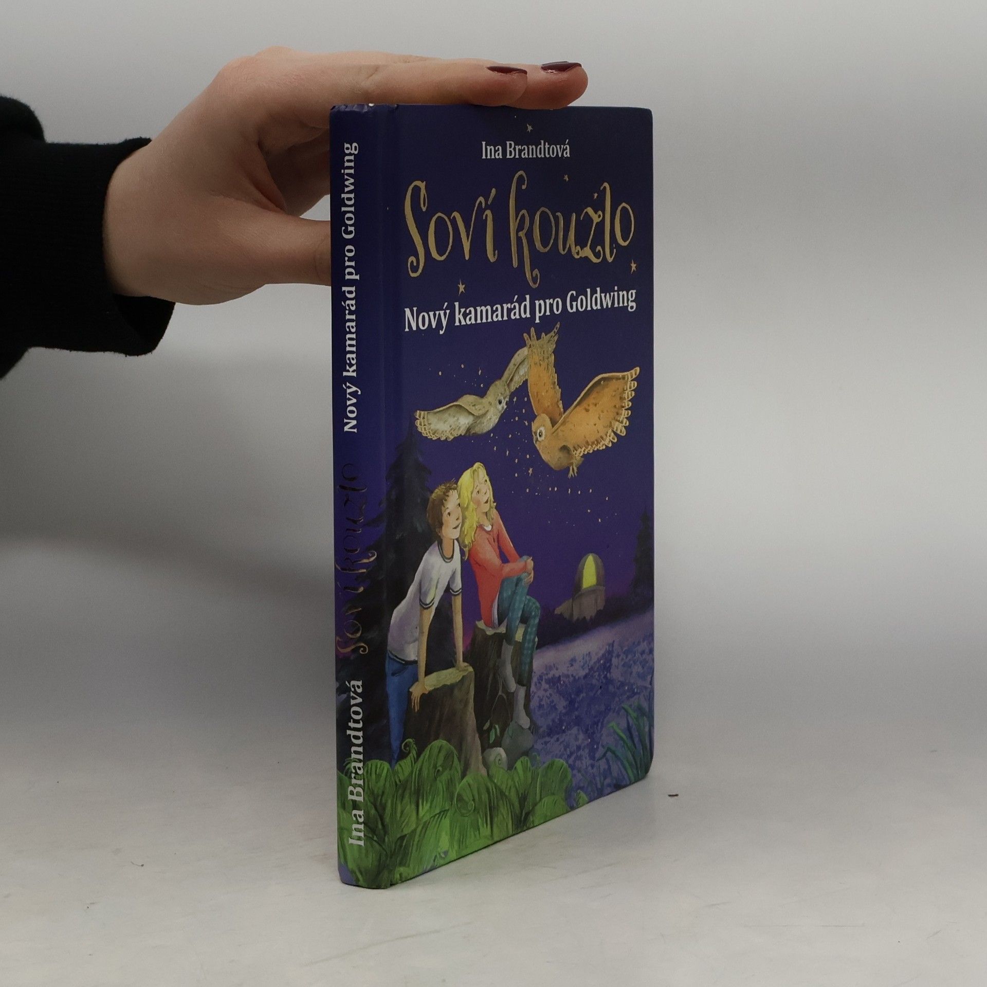 Soví kouzlo. Nový kamarád pro Goldwing