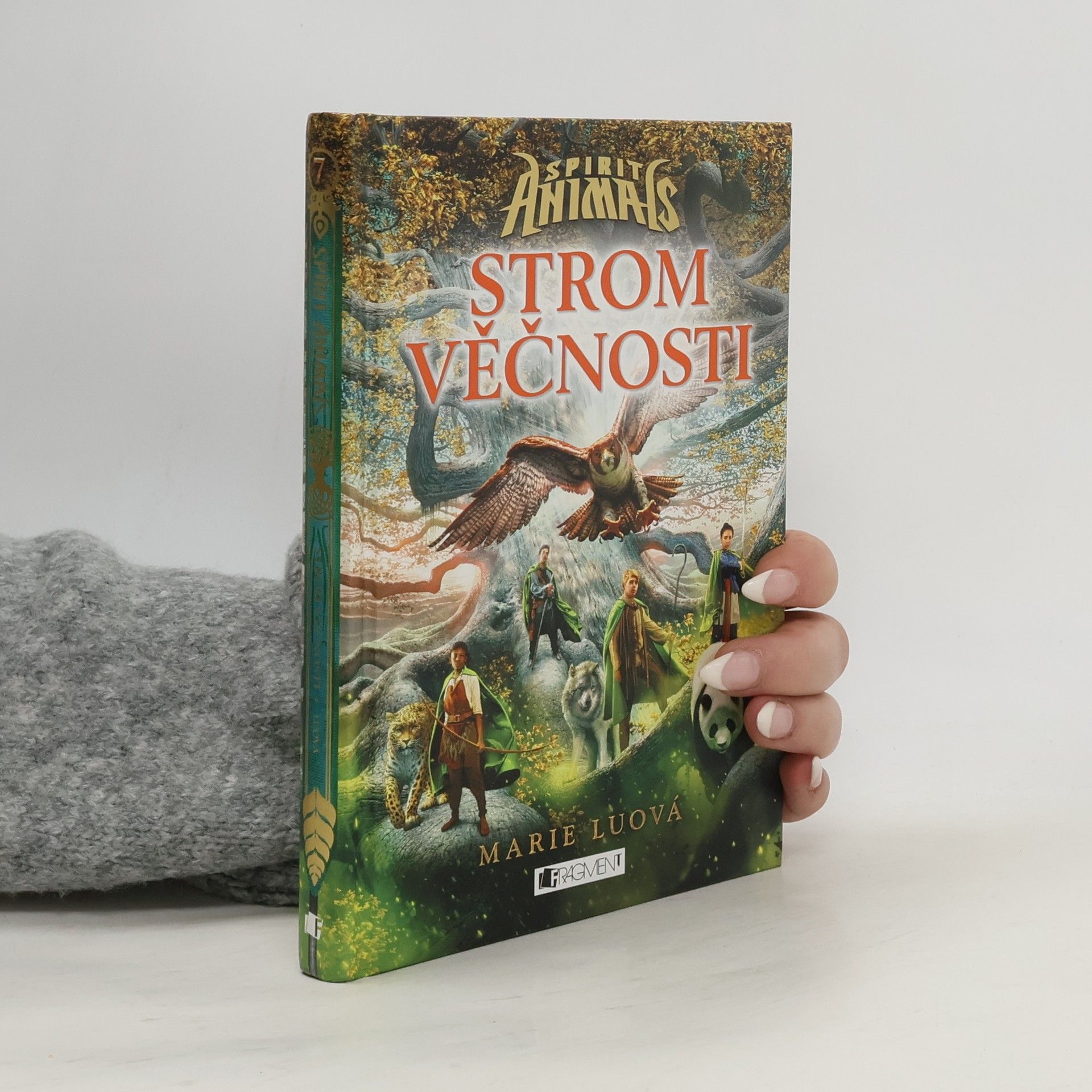 Marie Lu Strom věčnosti