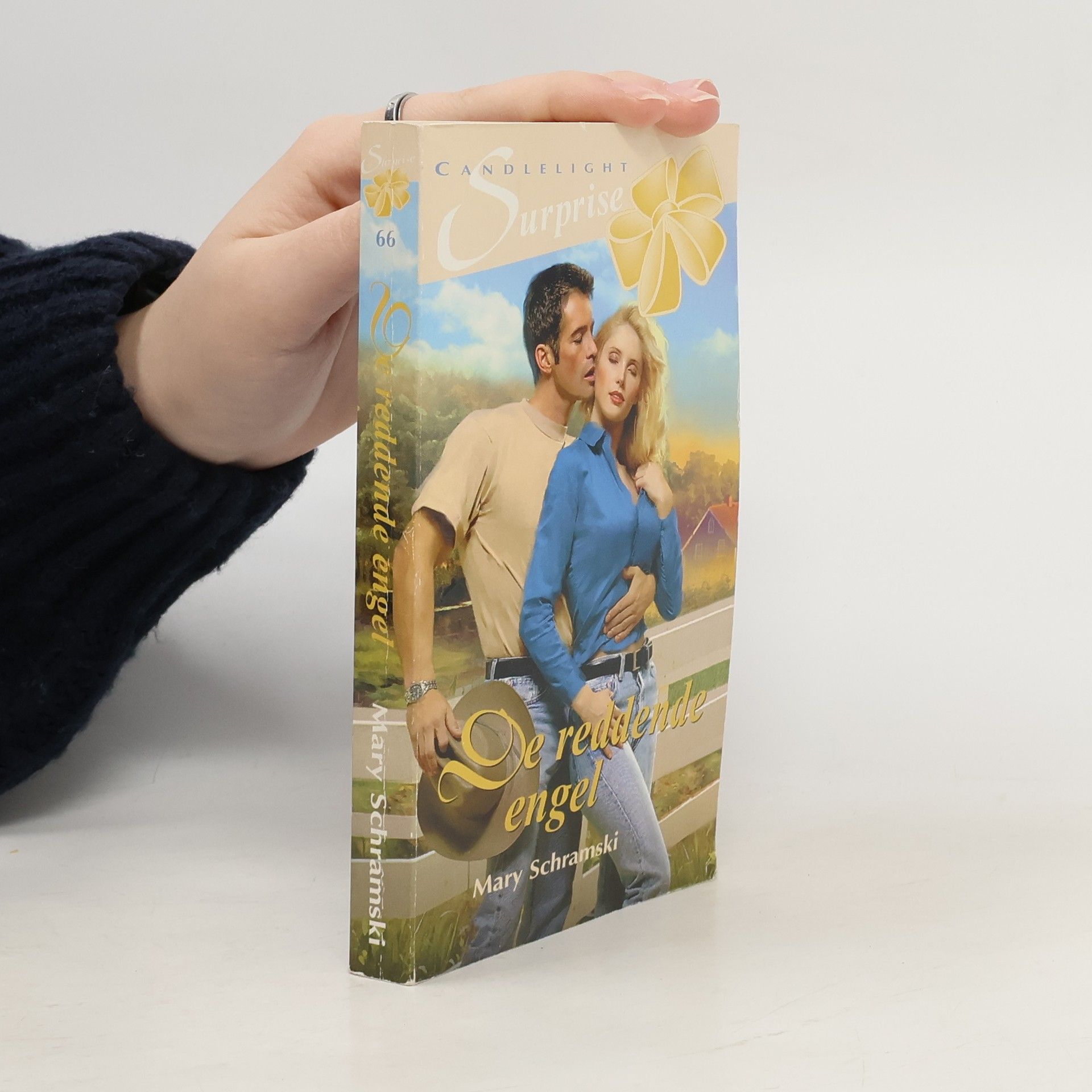 Mary Schramski De reddende engel