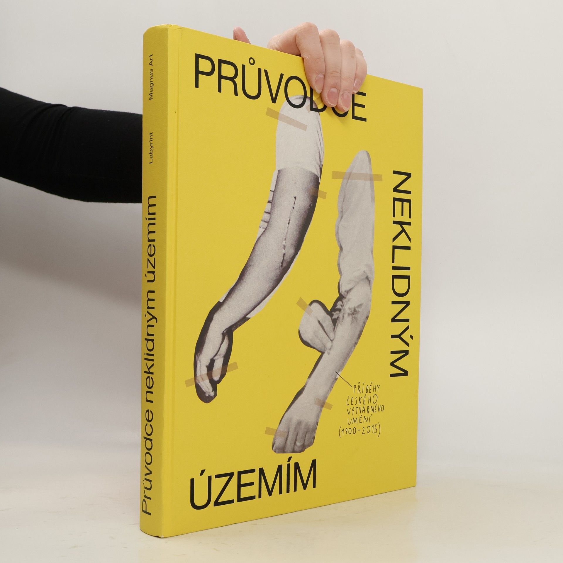Průvodce neklidným územím. Příběhy českého výtvarného umění (1900-2015)