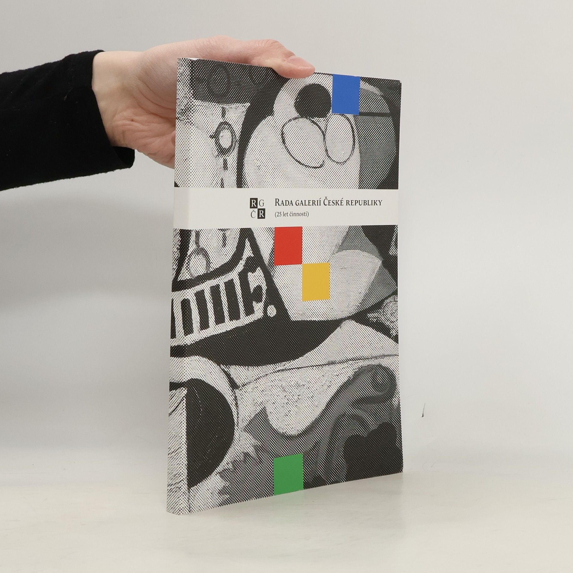 Collectif d'auteurs Rada galerií České republiky : (25 let činnosti)