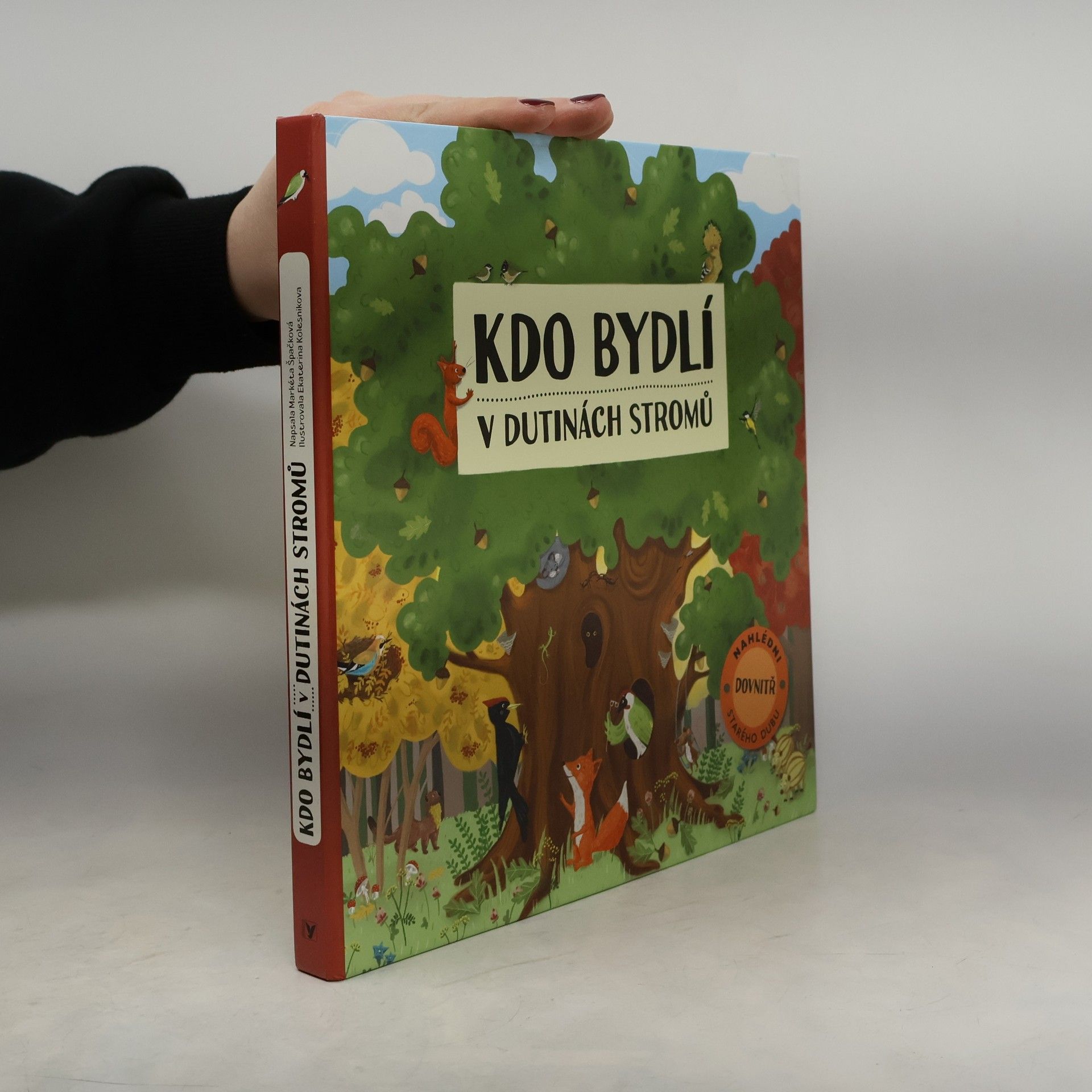 Markéta Špačková Kdo bydlí v dutinách stromů