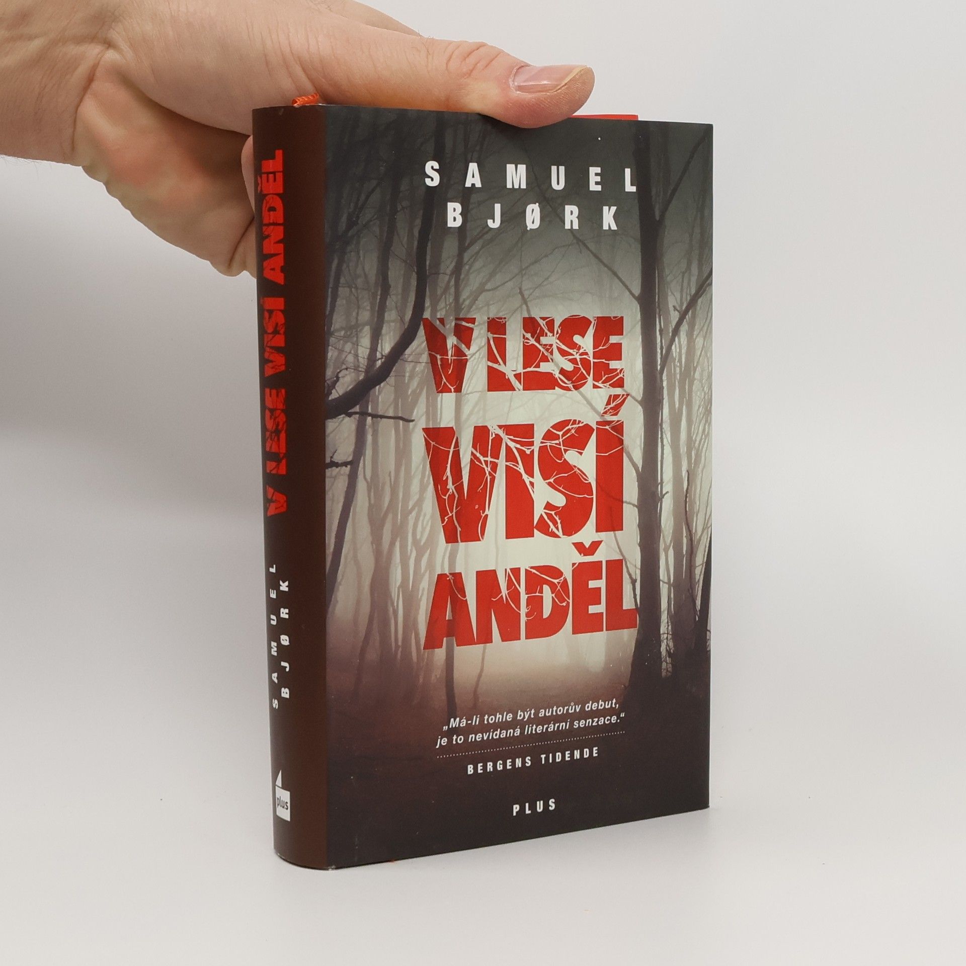 Samuel Bjork V lese visí anděl