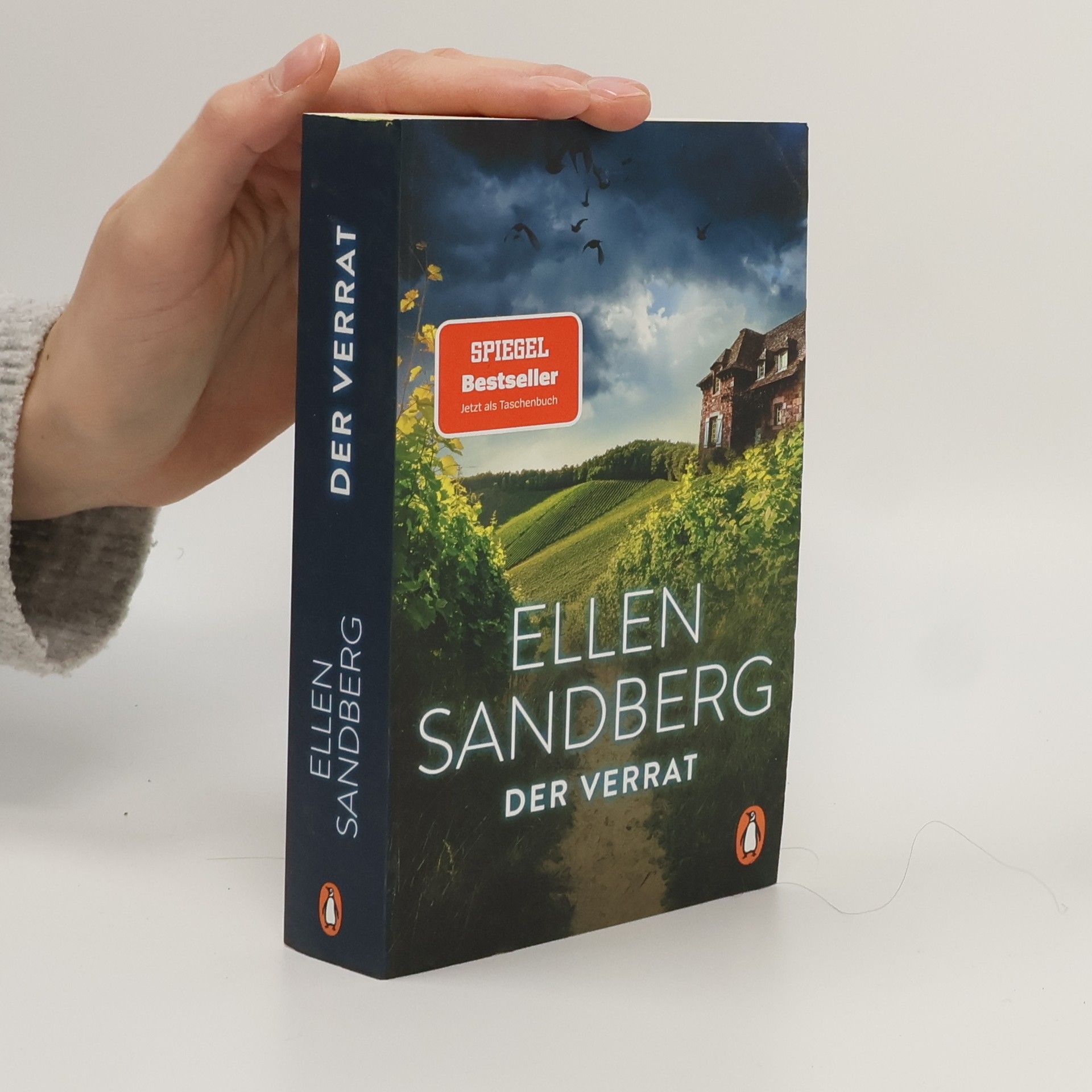 Ellen Sandberg Der Verrat
