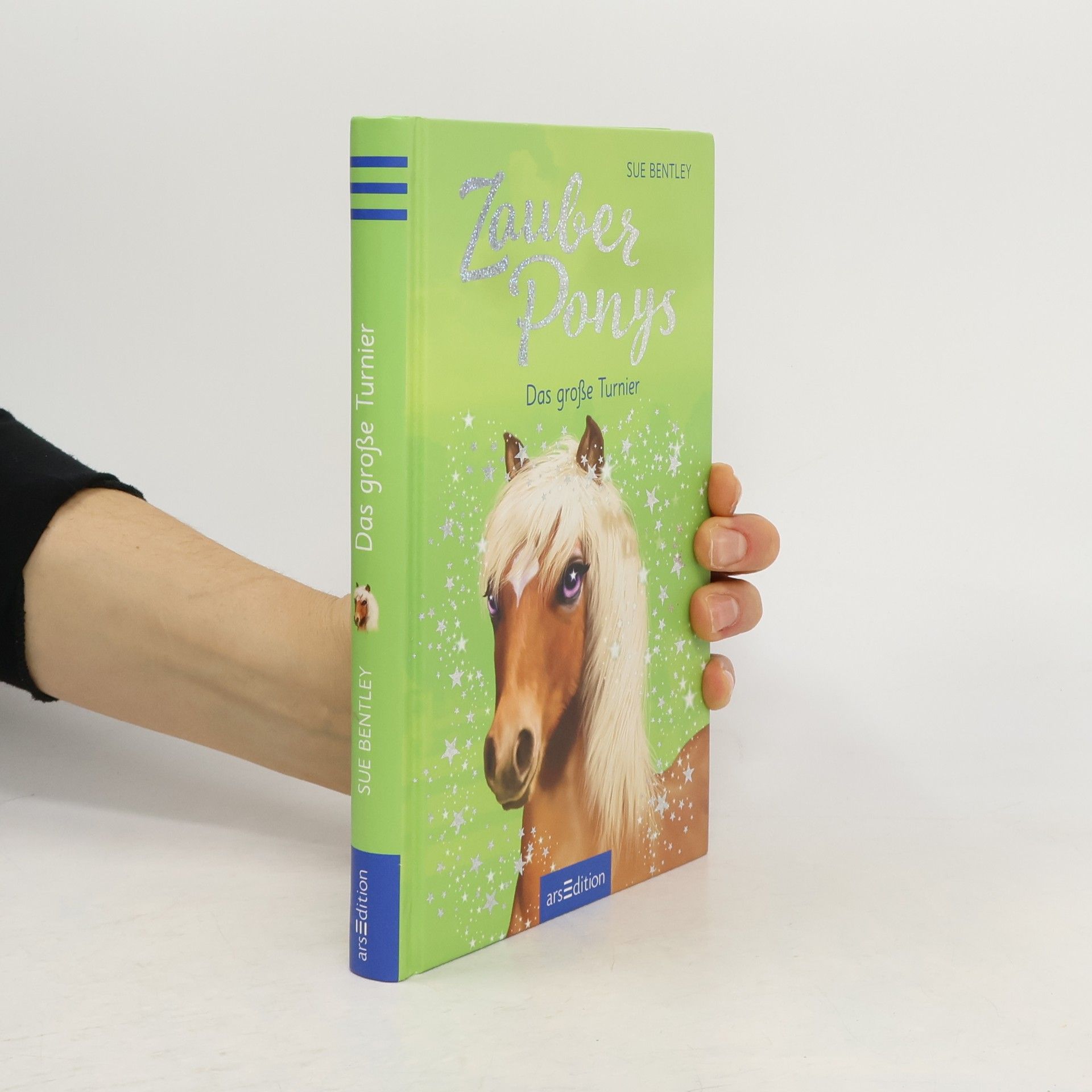 Sue Bentley Zauberponys - das große Turnier