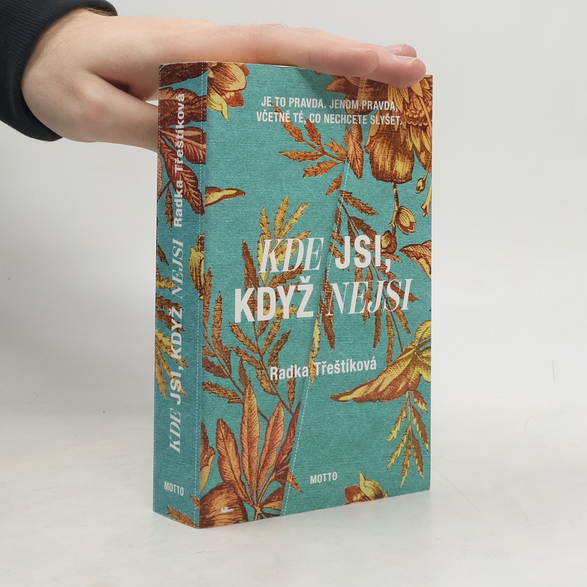 Radka Třeštíková Kde jsi, když nejsi