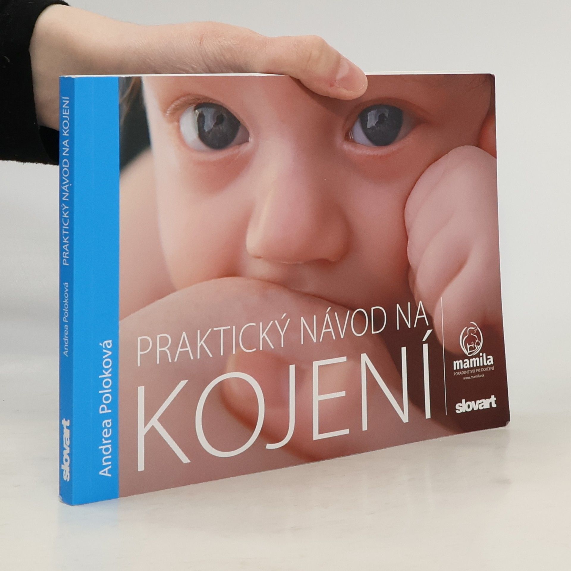 Praktický návod na kojení