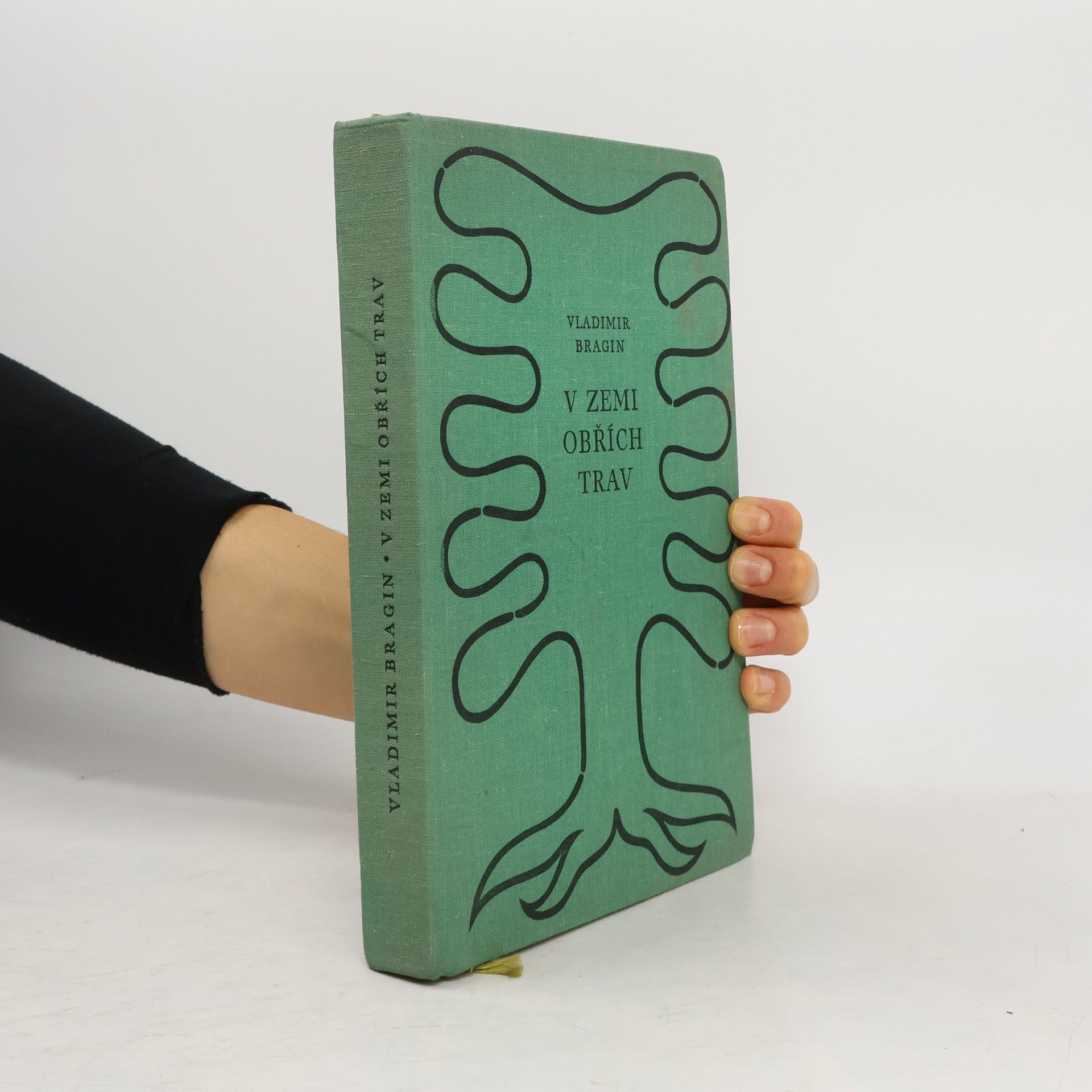 Vladimir Bragin V zemi obřích trav