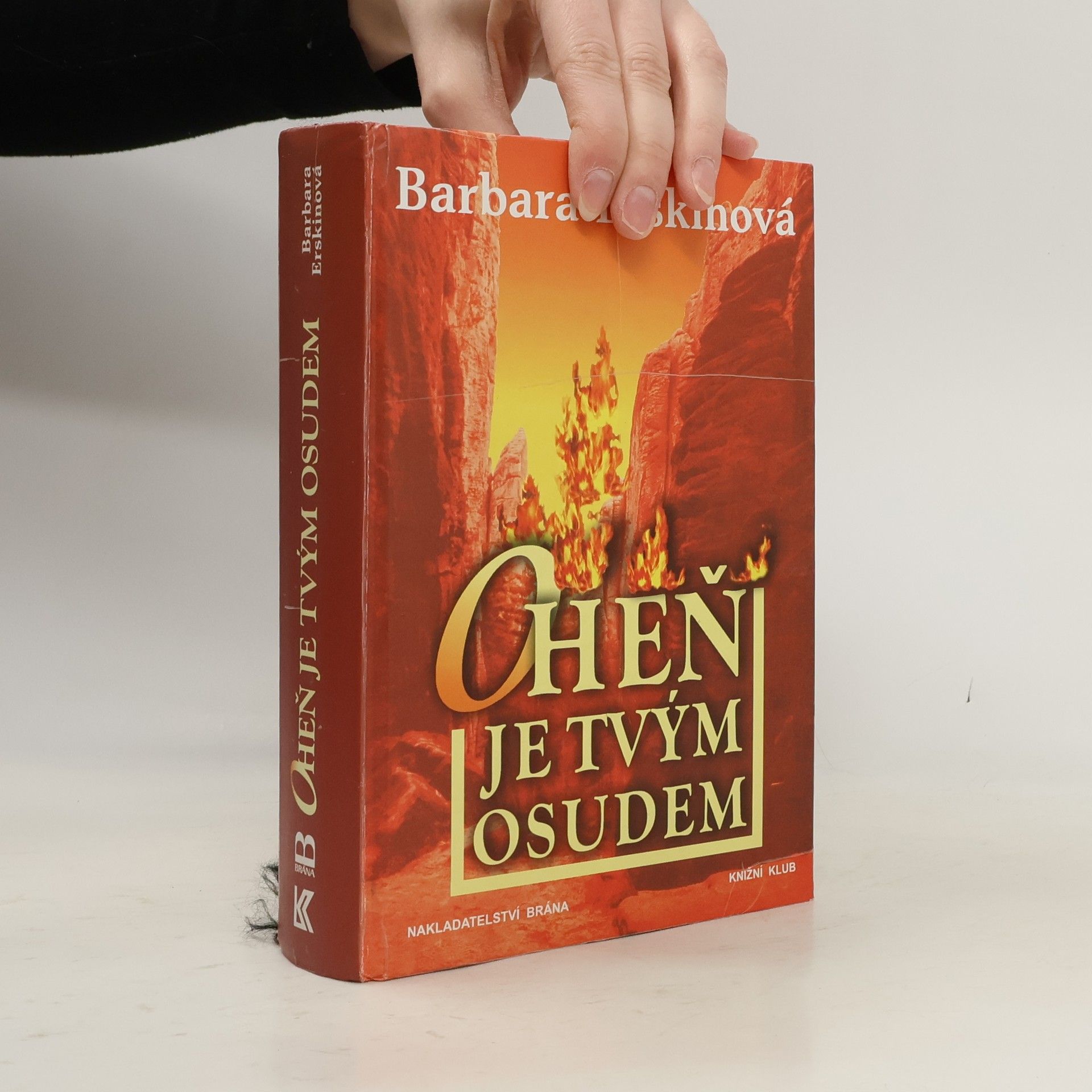 Barbara Erskinová Oheň je tvým osudem