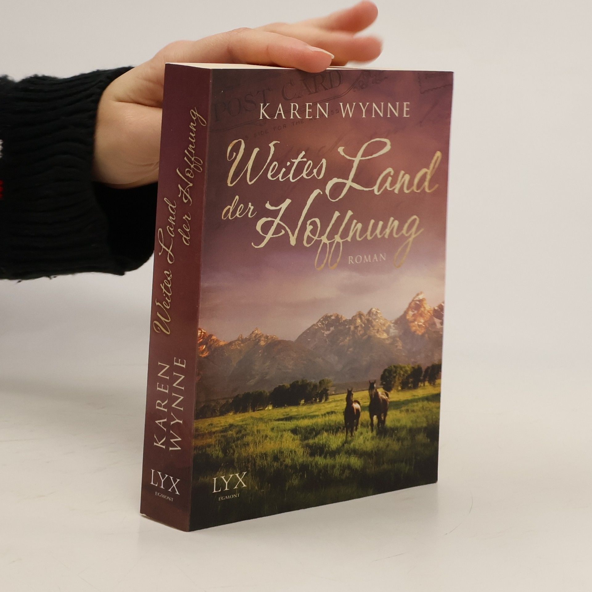 Karen Wynne Weites Land der Hoffnung
