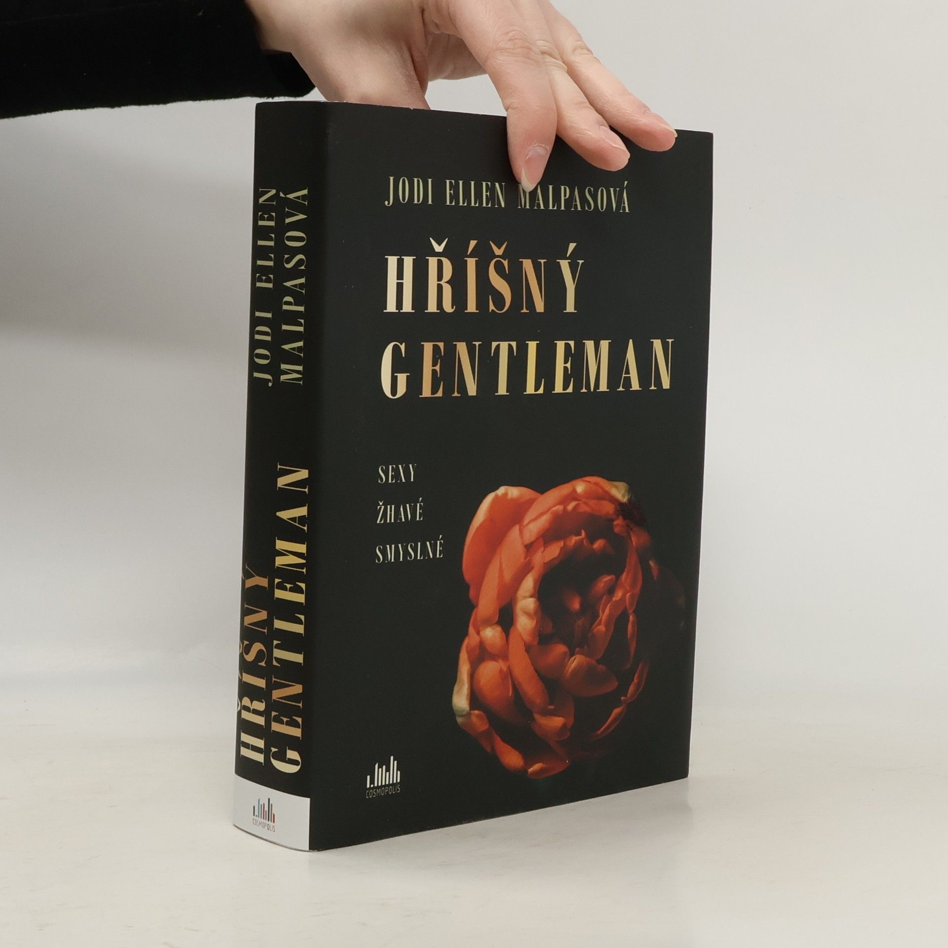 Jodi Ellen Malpas Hříšný gentleman