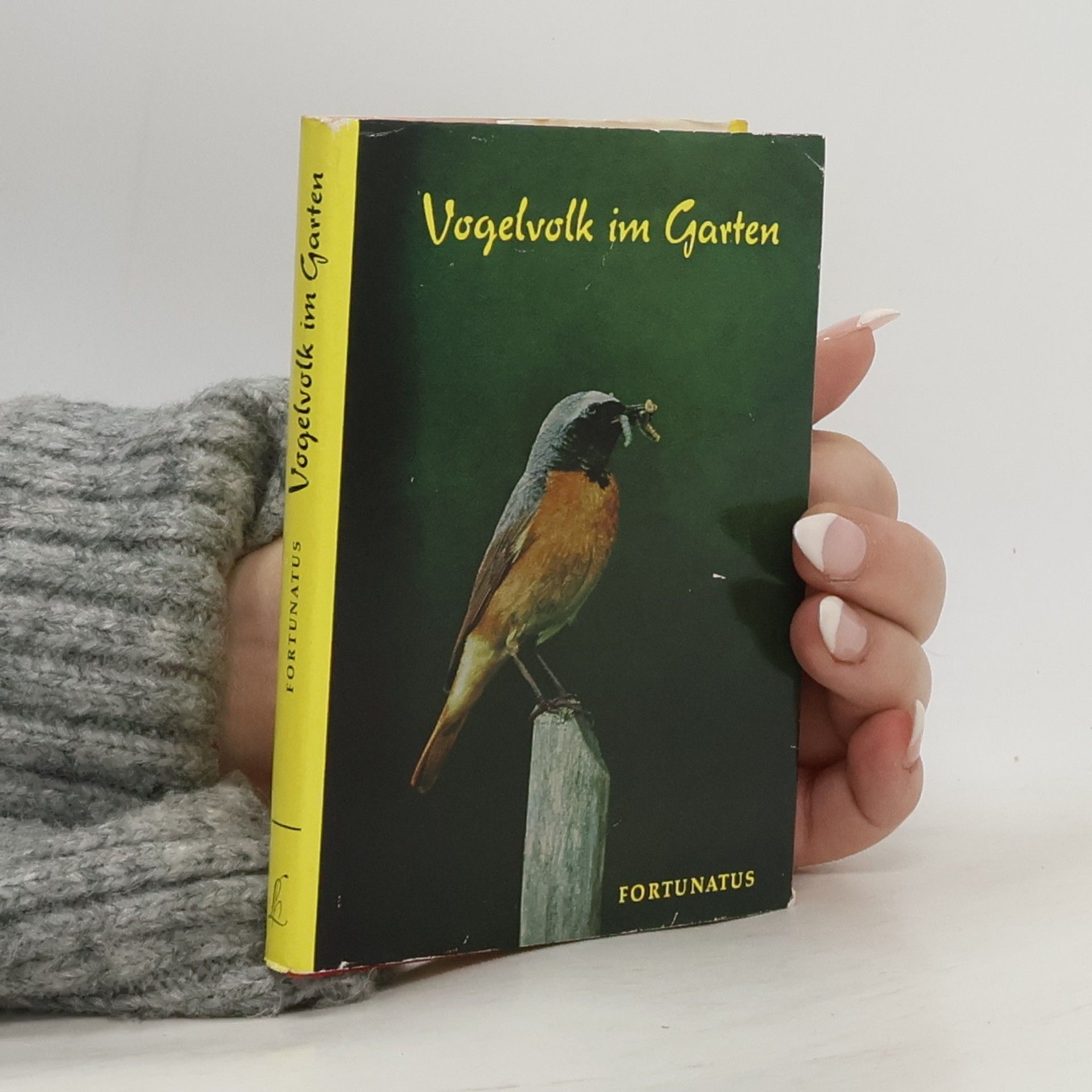 Vogelvolk im Garten