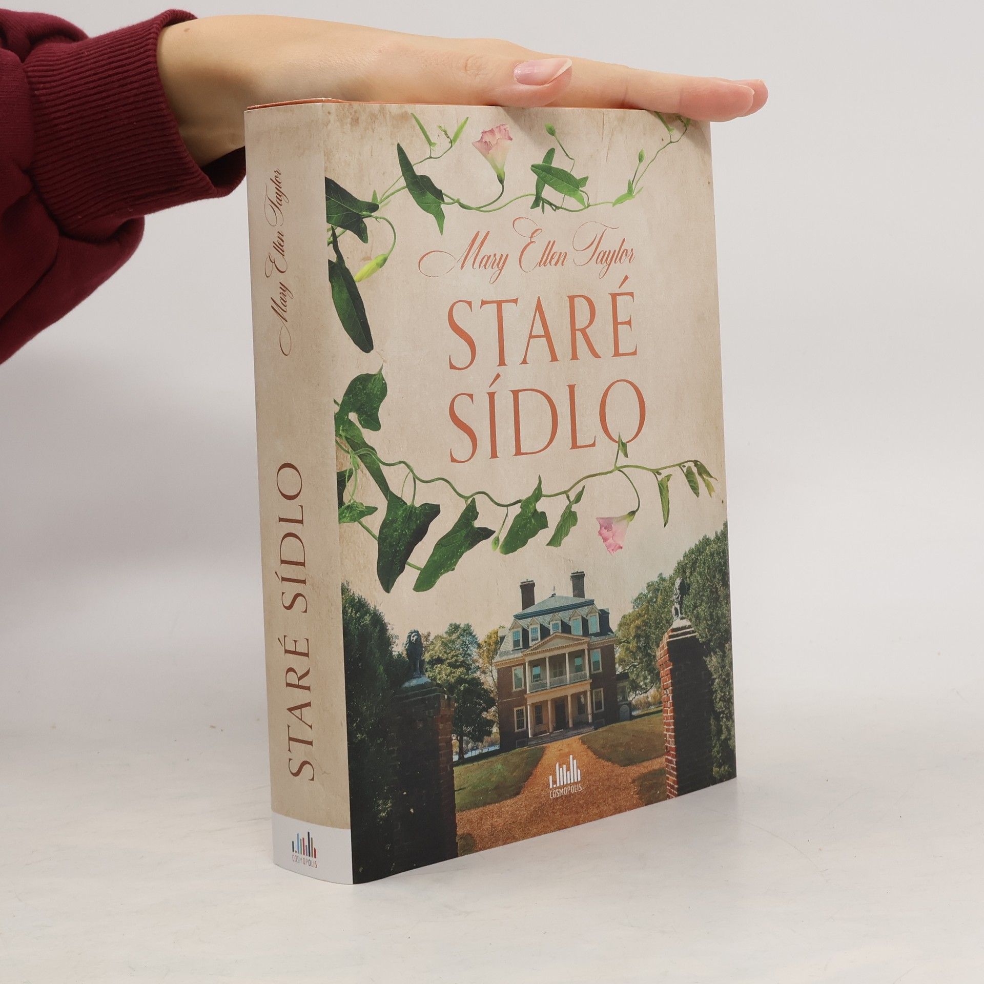 Mary Ellen Taylor Staré sídlo