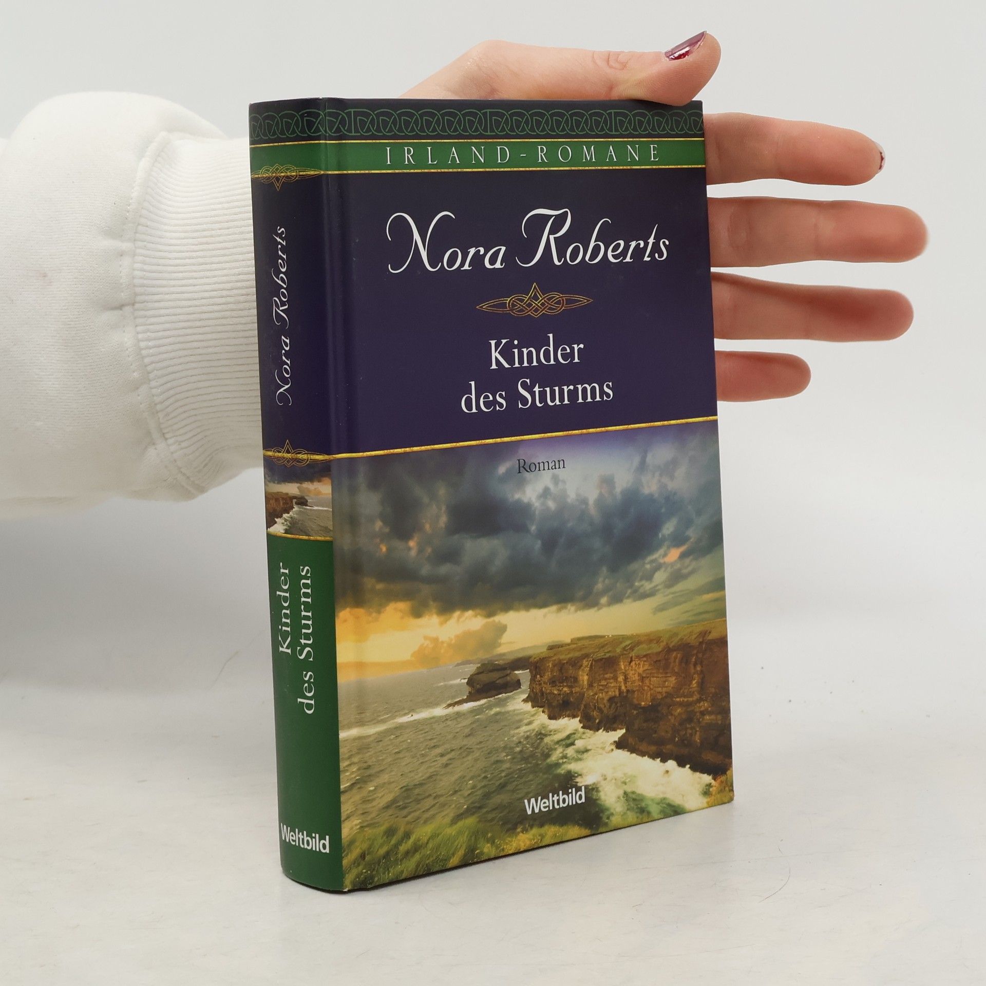 Nora Roberts Kinder des Sturms