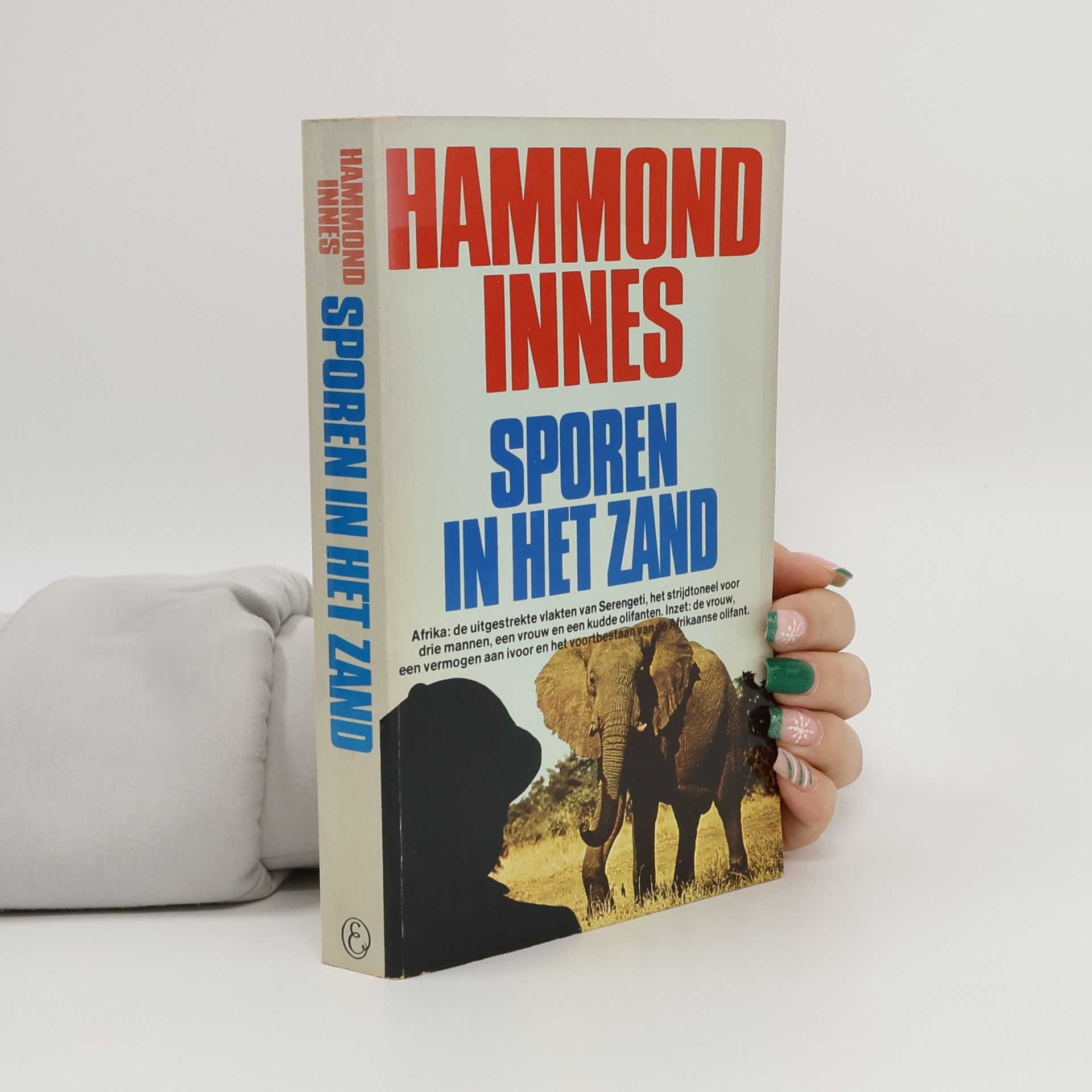 Hammond Innes Sporen in het Zand