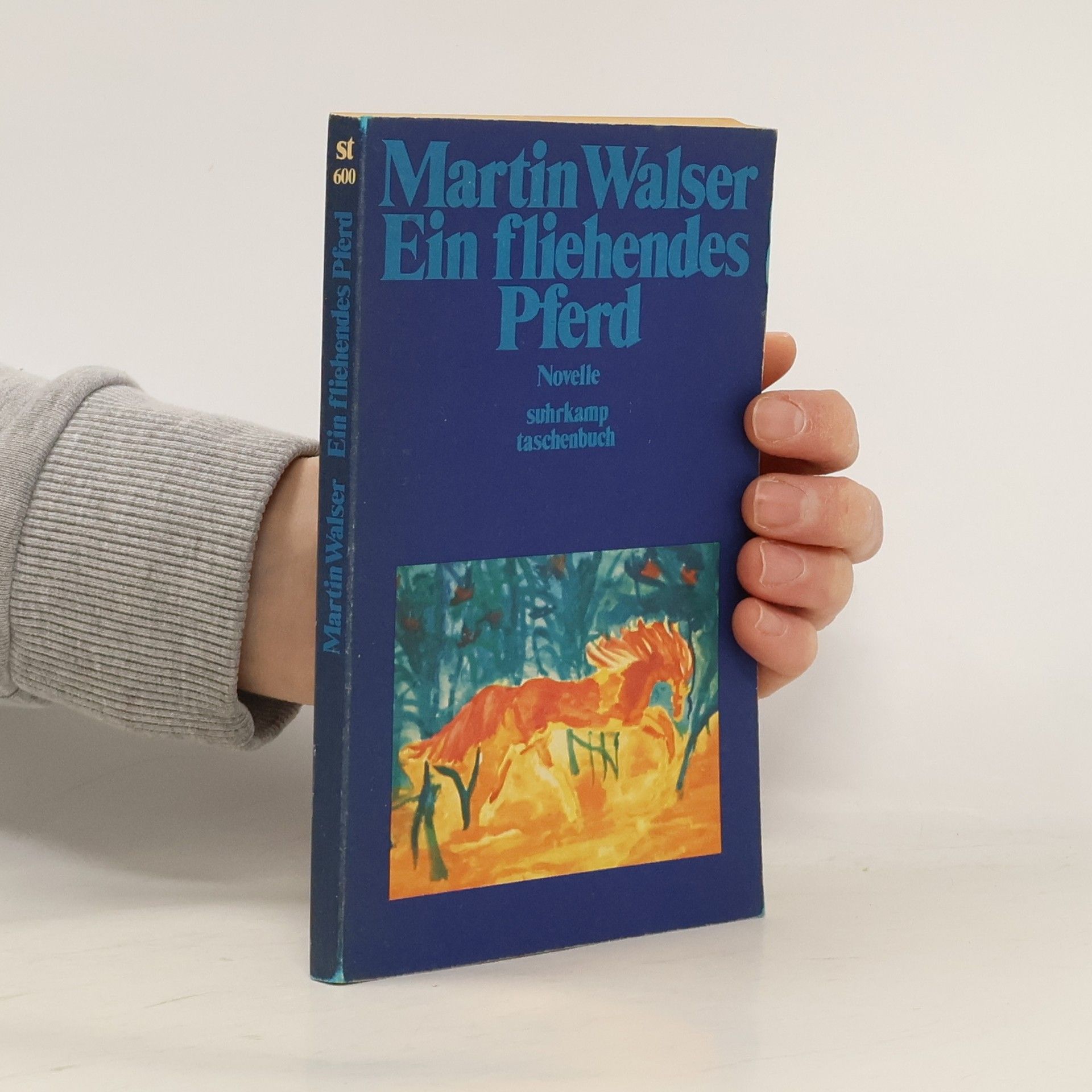 Martin Walser Ein fliehendes Pferd