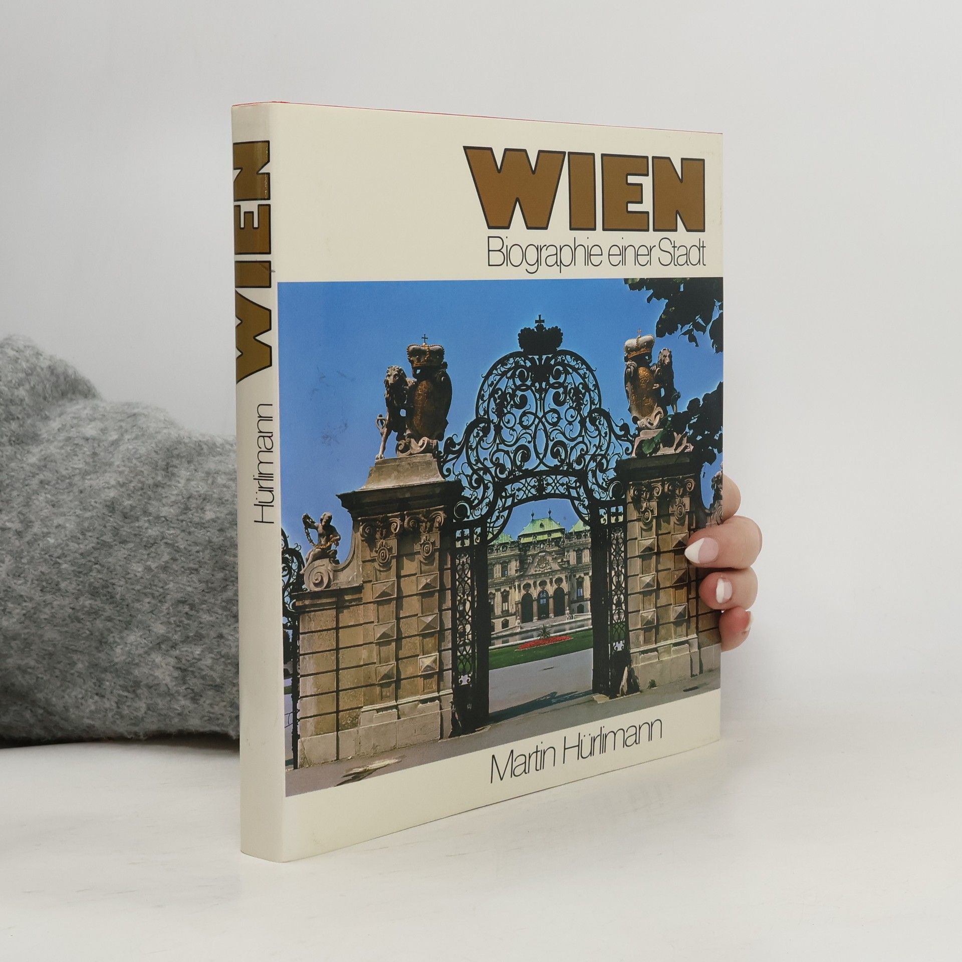 Martin Hürlimann Wien Biographie einer Stadt
