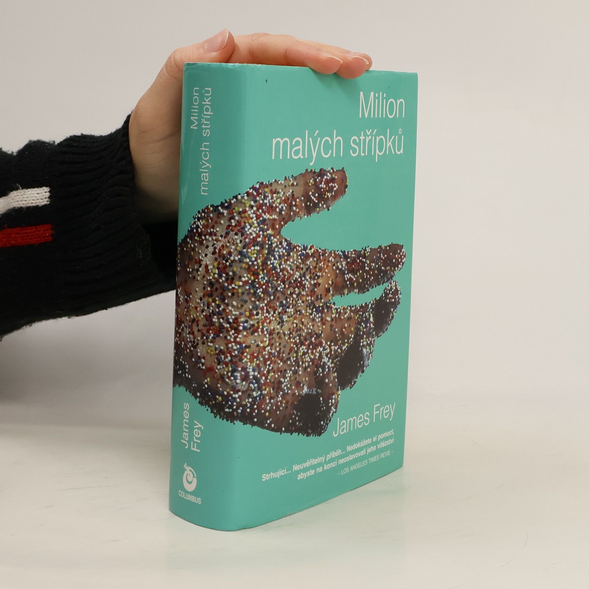 James Frey Milion malých střípků