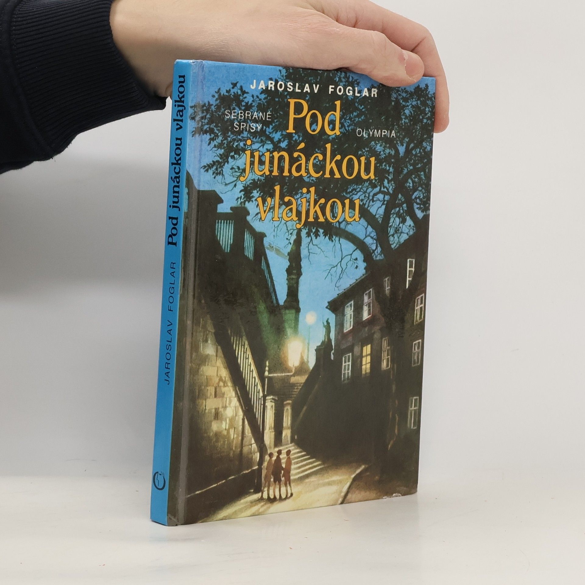 Pod junáckou vlajkou