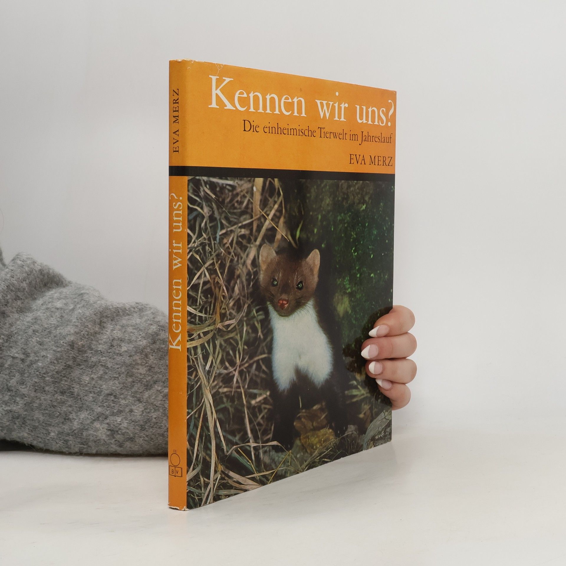 Eva Merz Kennen wir uns?