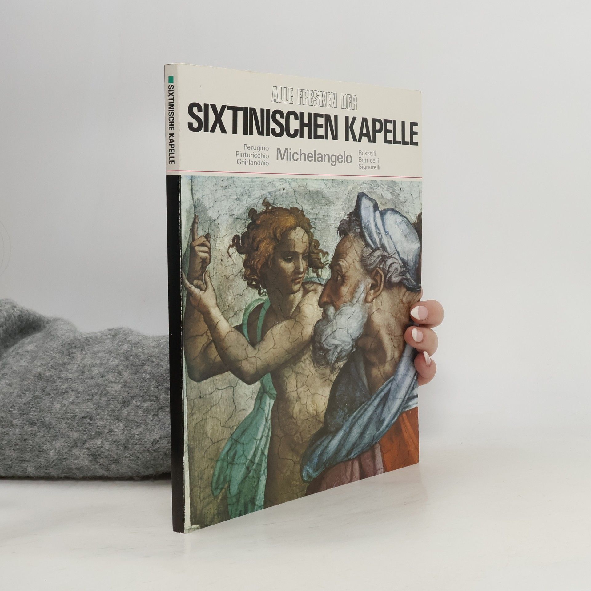 Auteurscollectief Alle Fresken der Sixtinischen Kapelle. Michelangelo