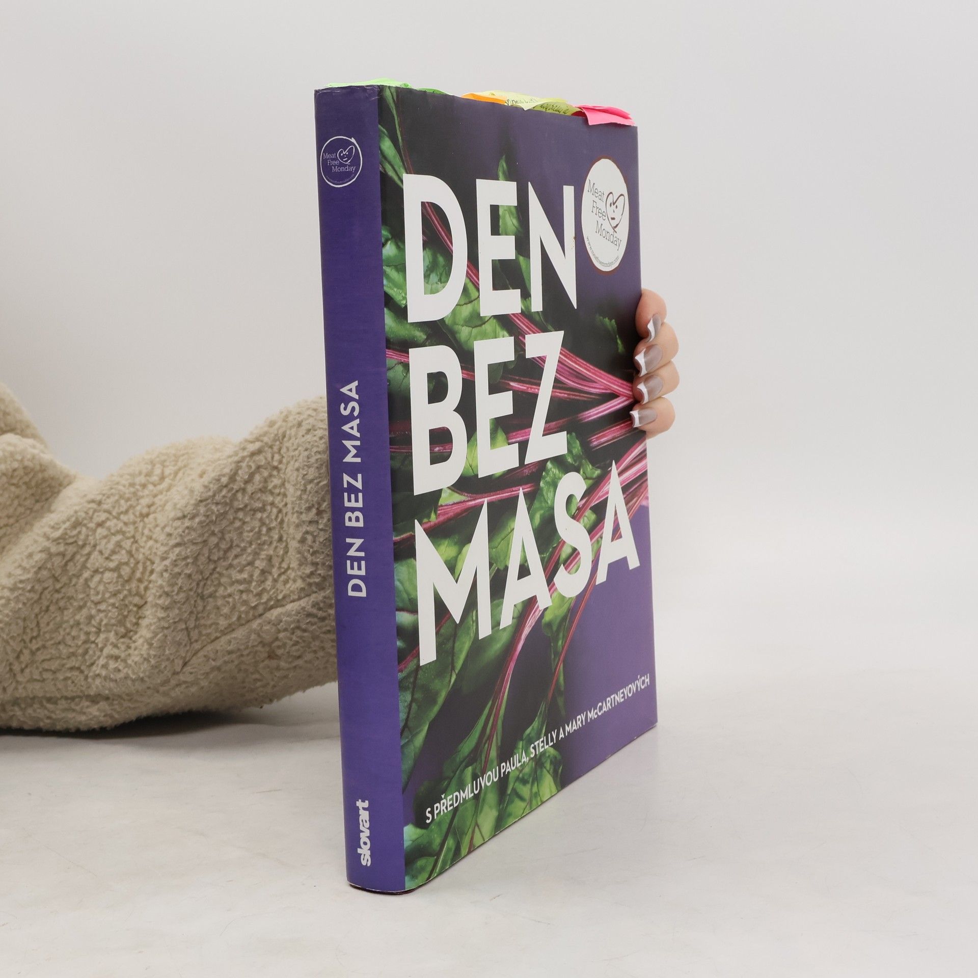 Annie Rigg Den bez masa